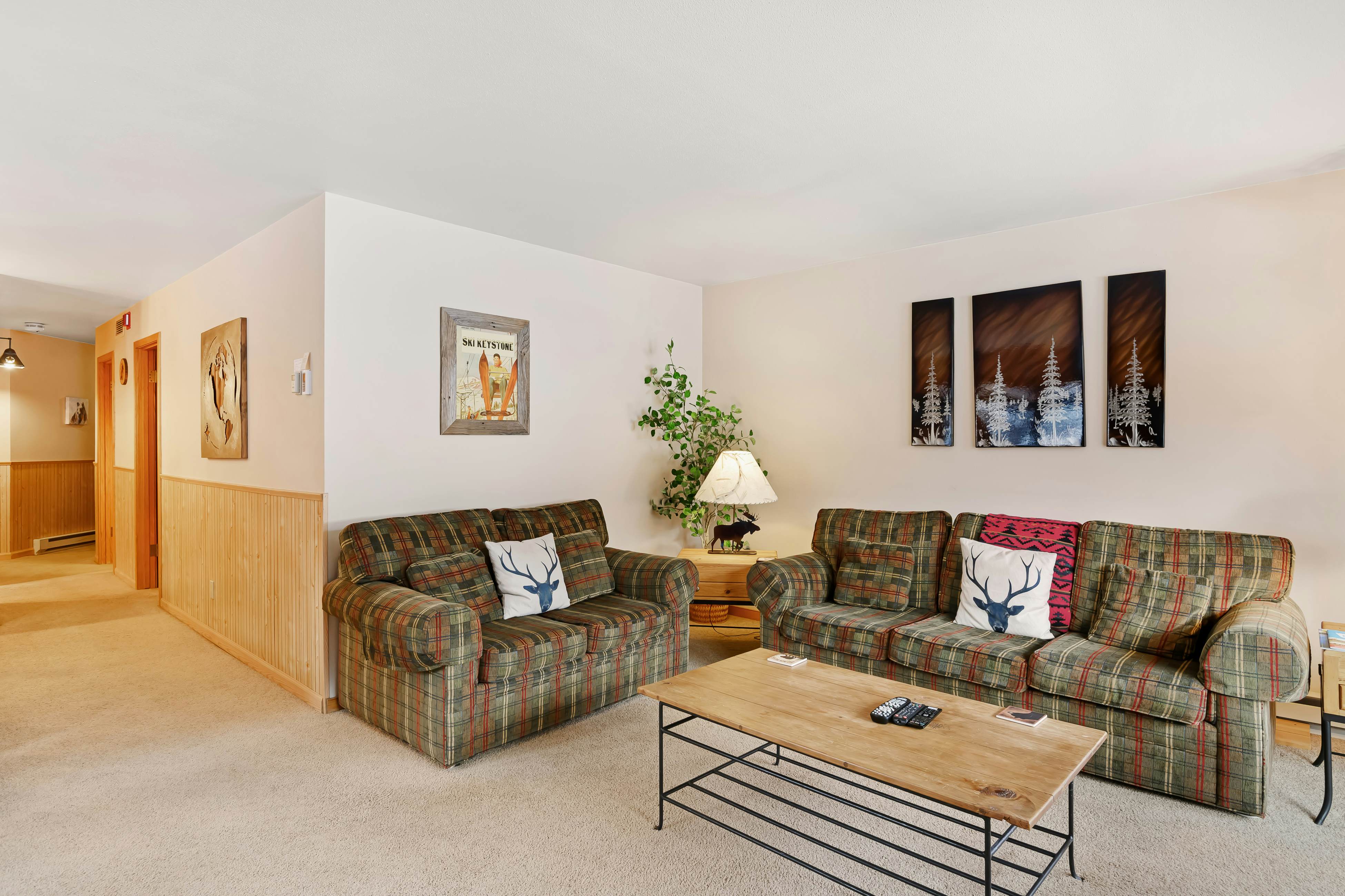 Ski Run Condominiums 108