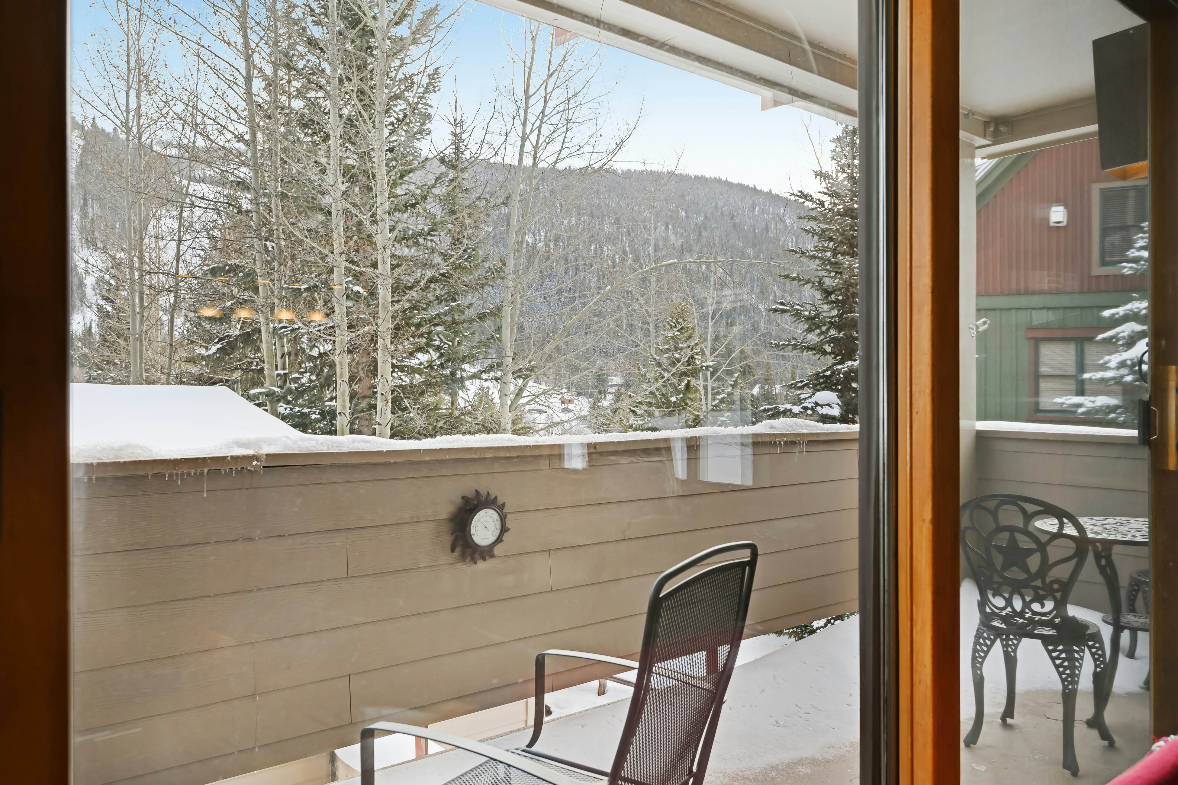 Ski Run Condominiums 108