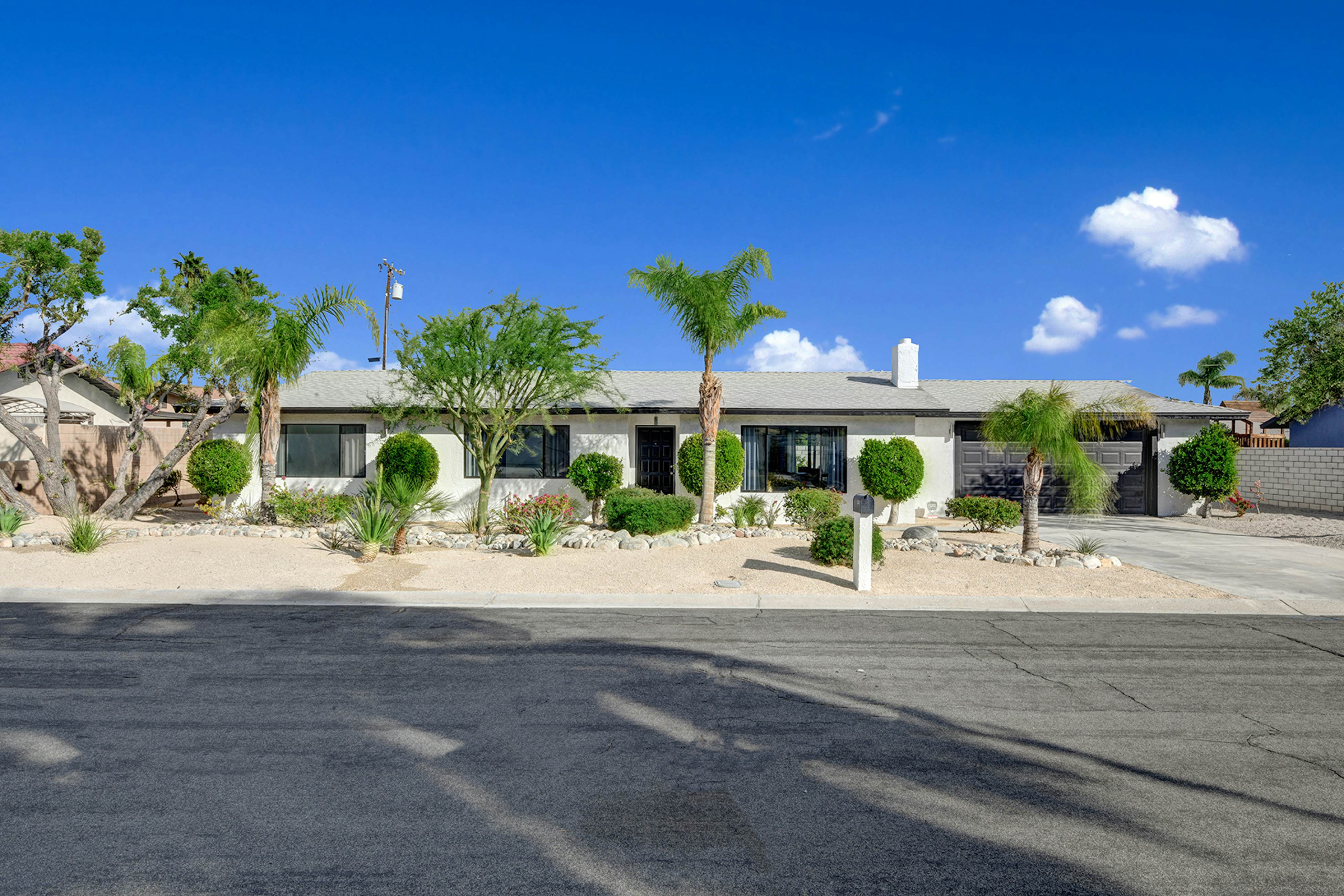 Peaceful Palms - 4341