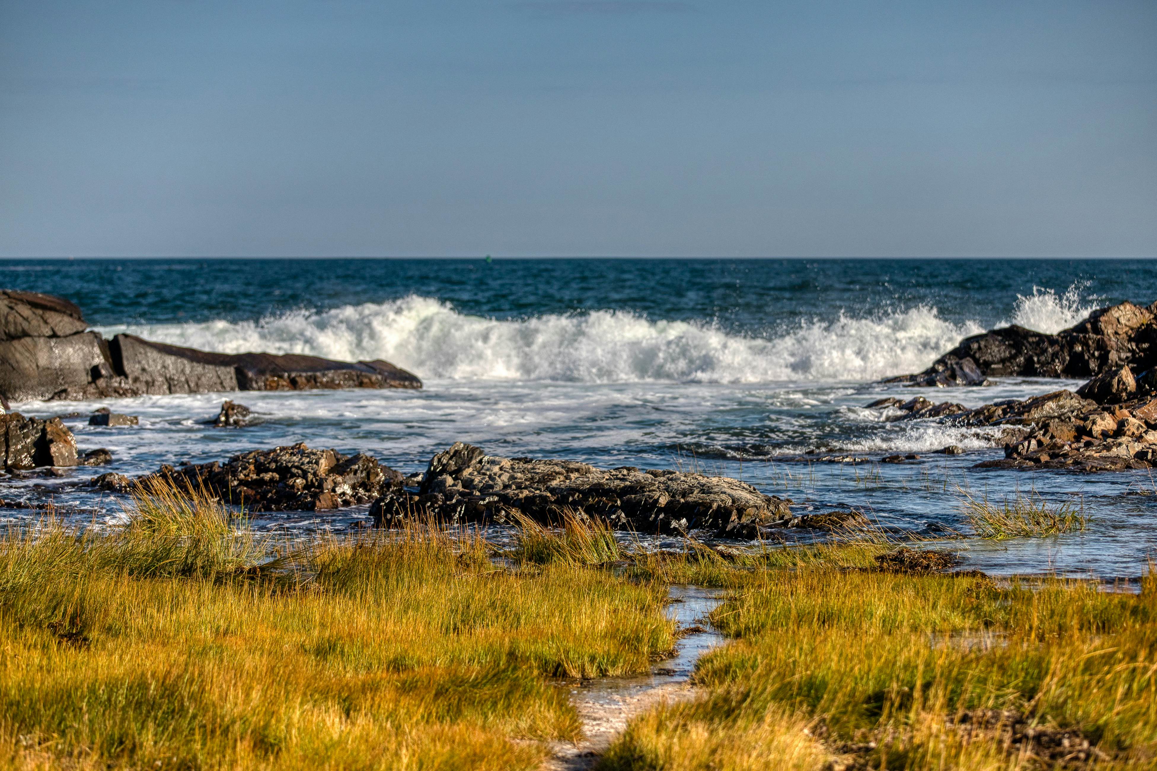 Shorelands Resort Cottage 40