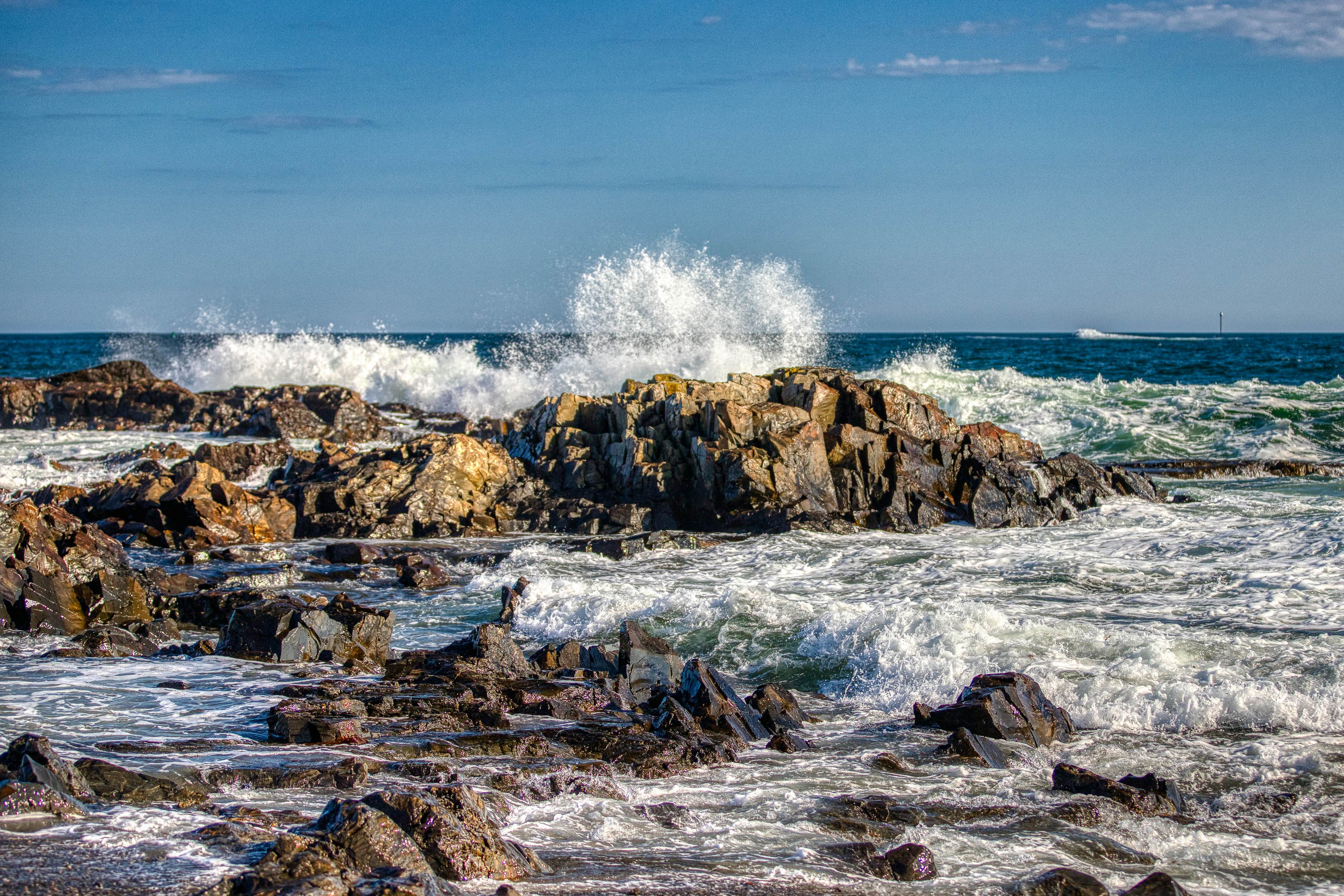 Shorelands Resort Cottage 40