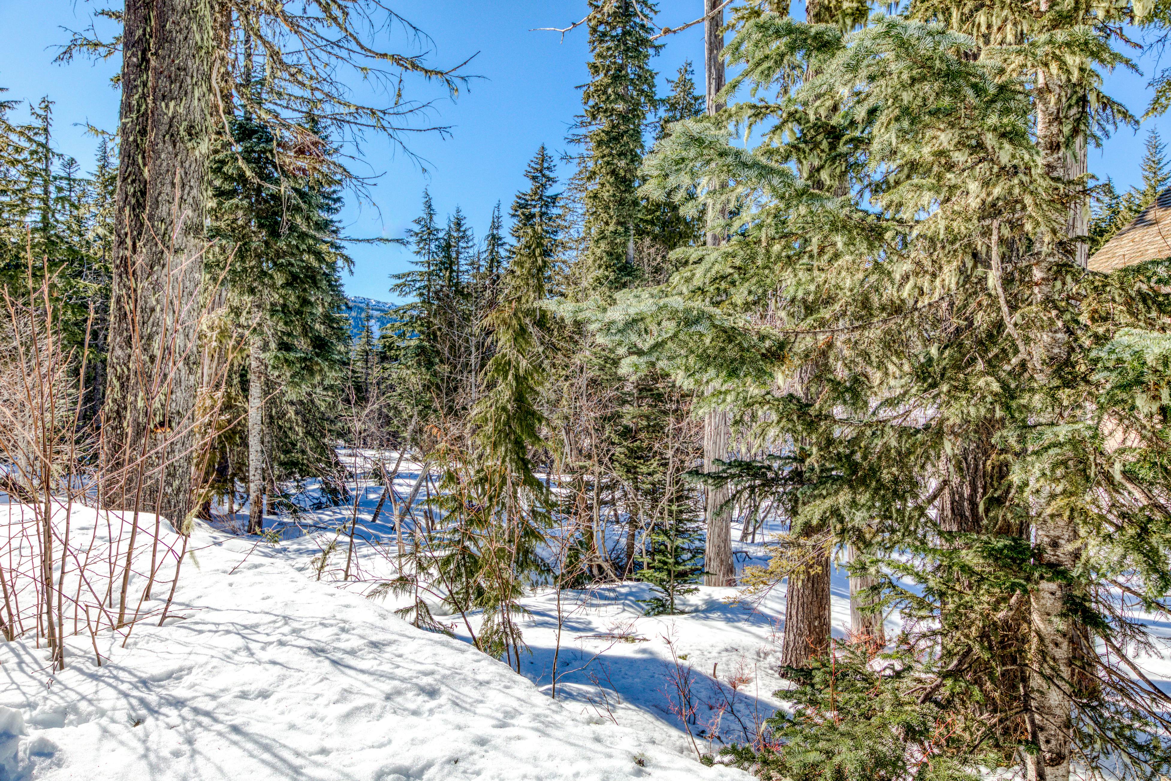 #203  Grand Lodge South