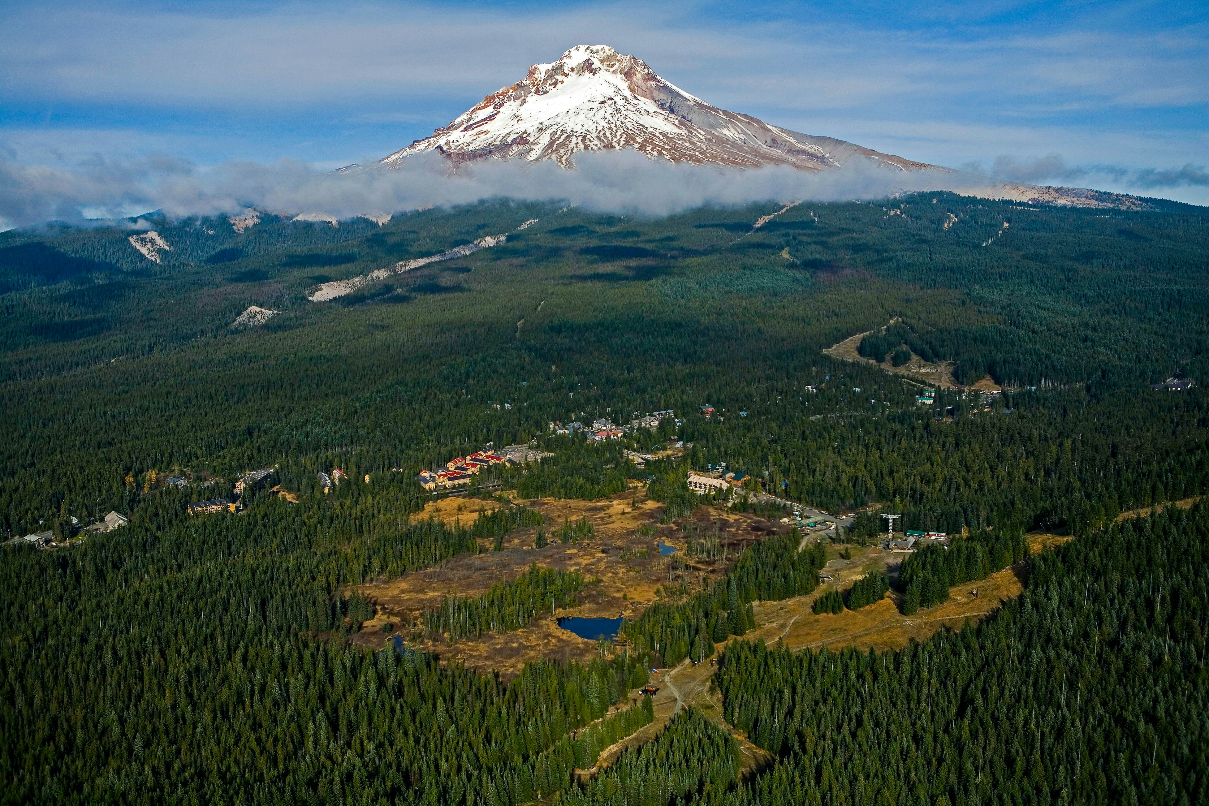 #401 Grand Lodge South Penthouse