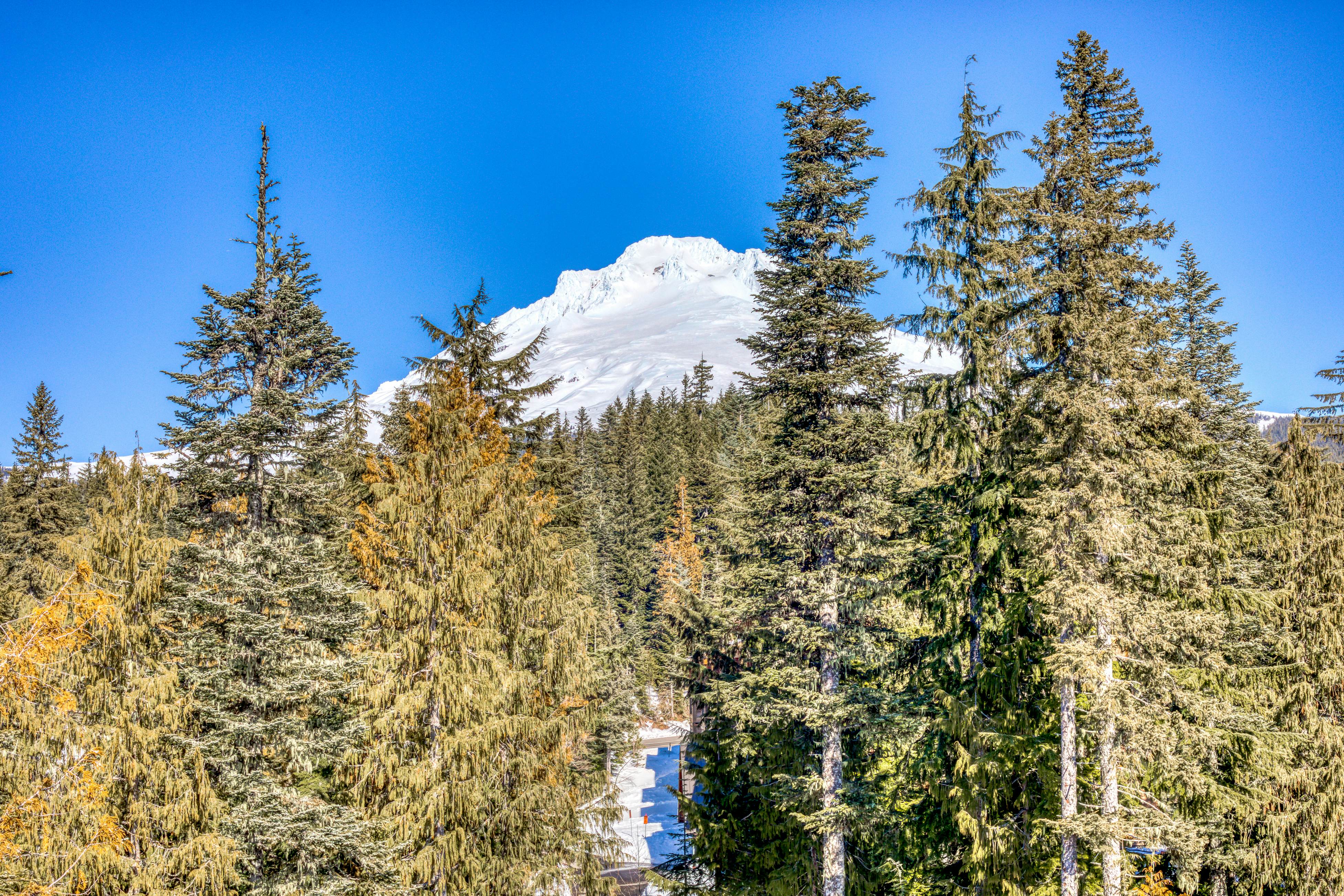 #403 Grand Lodge South Penthouse