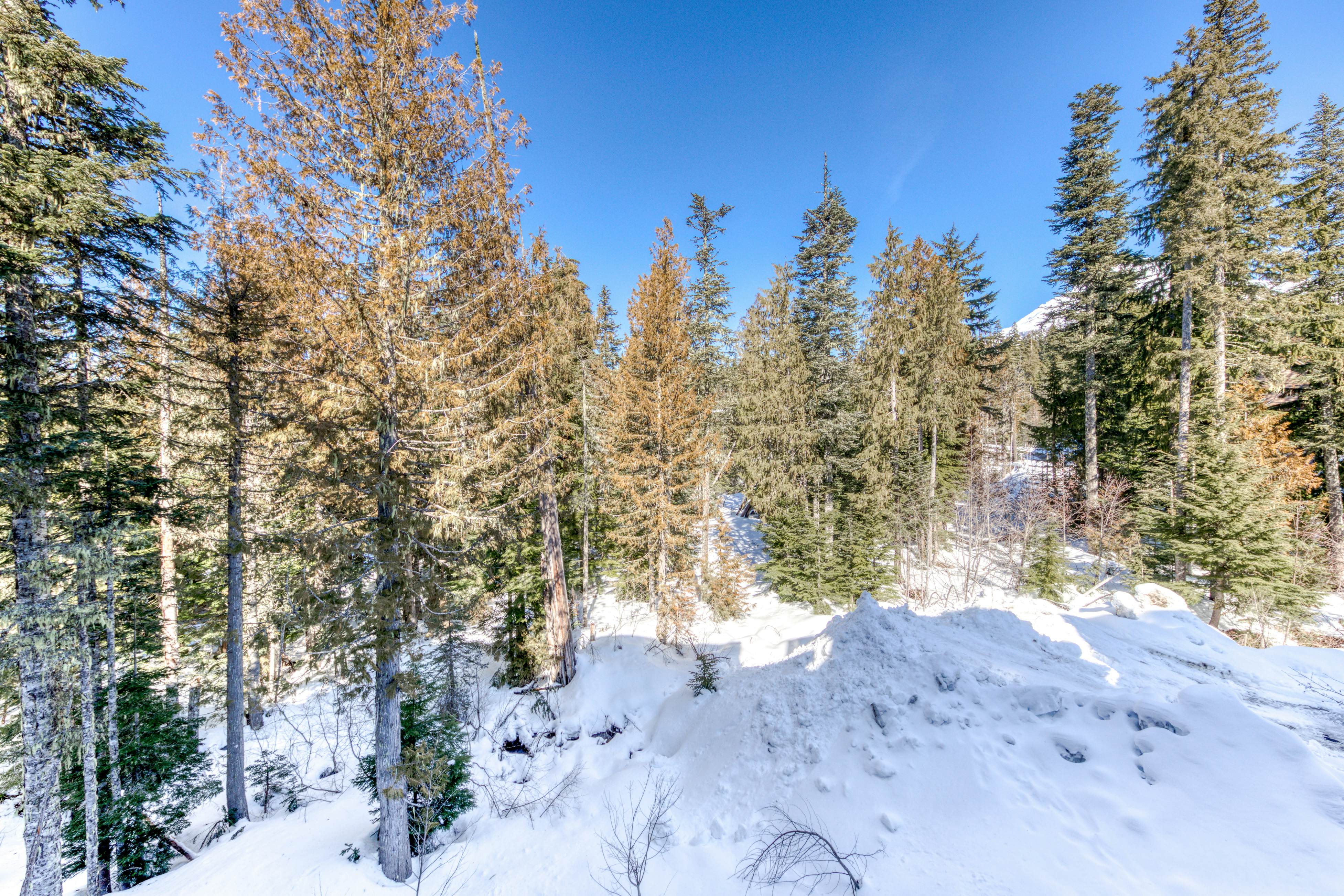 #103 Grand Lodge South