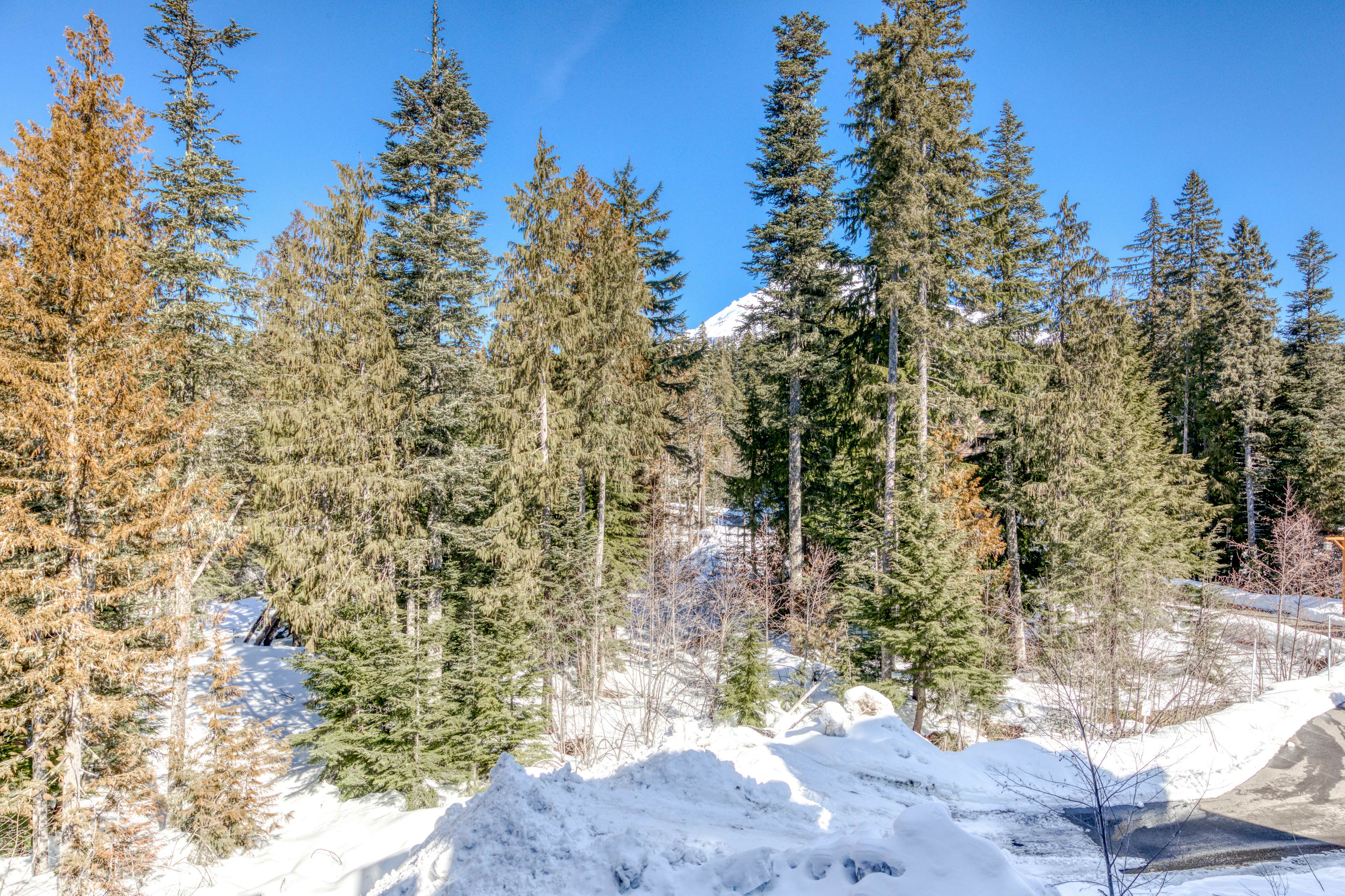 #302 Grand Lodge South