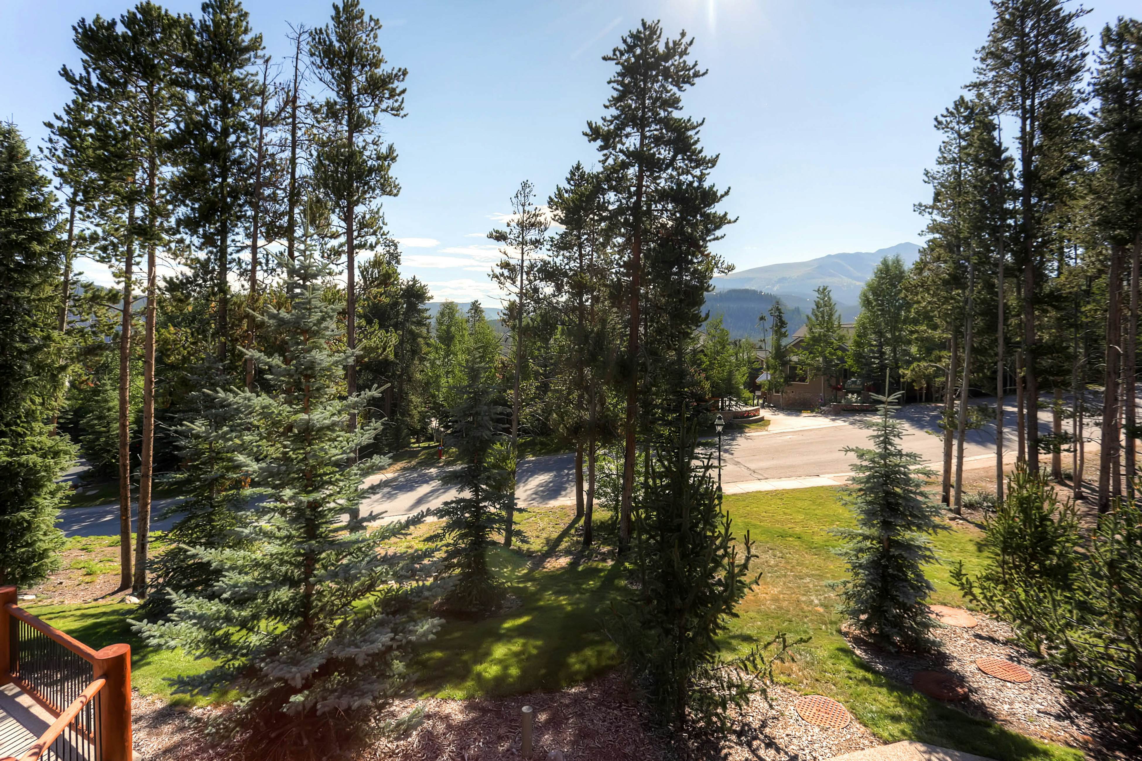 BlueSky Breckenridge #513