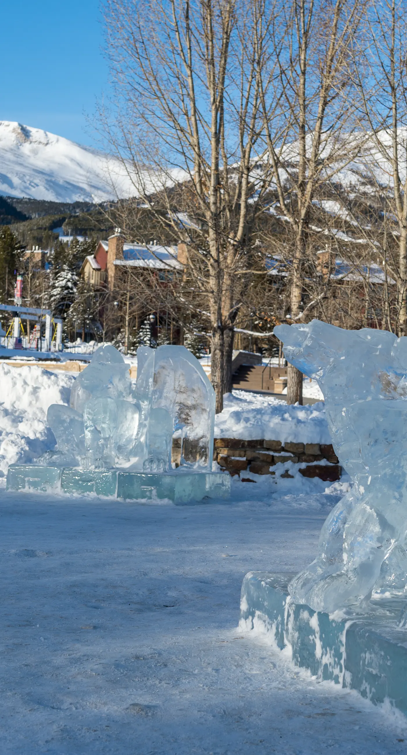 River Mountain Lodge #E218B