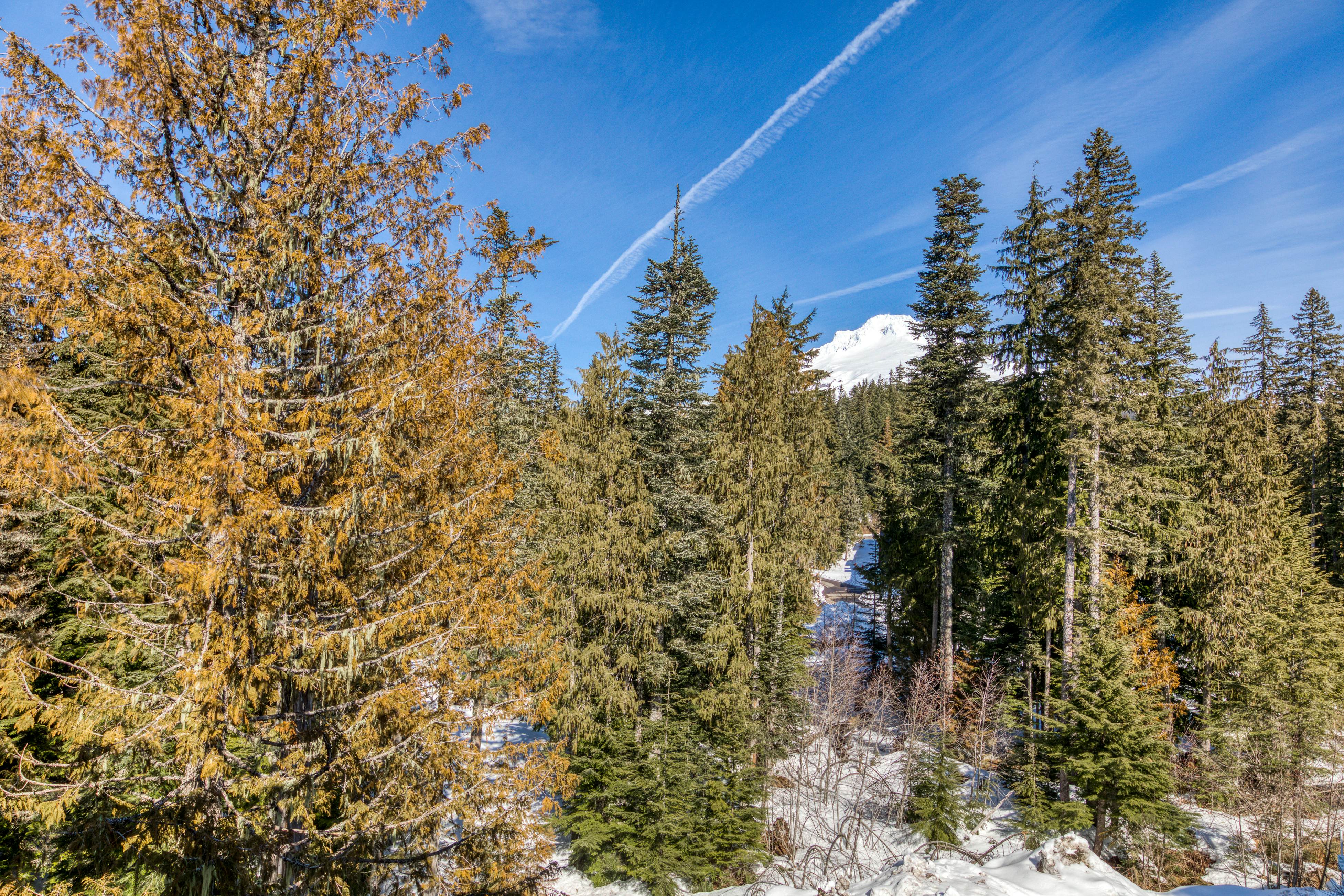 #301  Grand Lodge South Master Suite