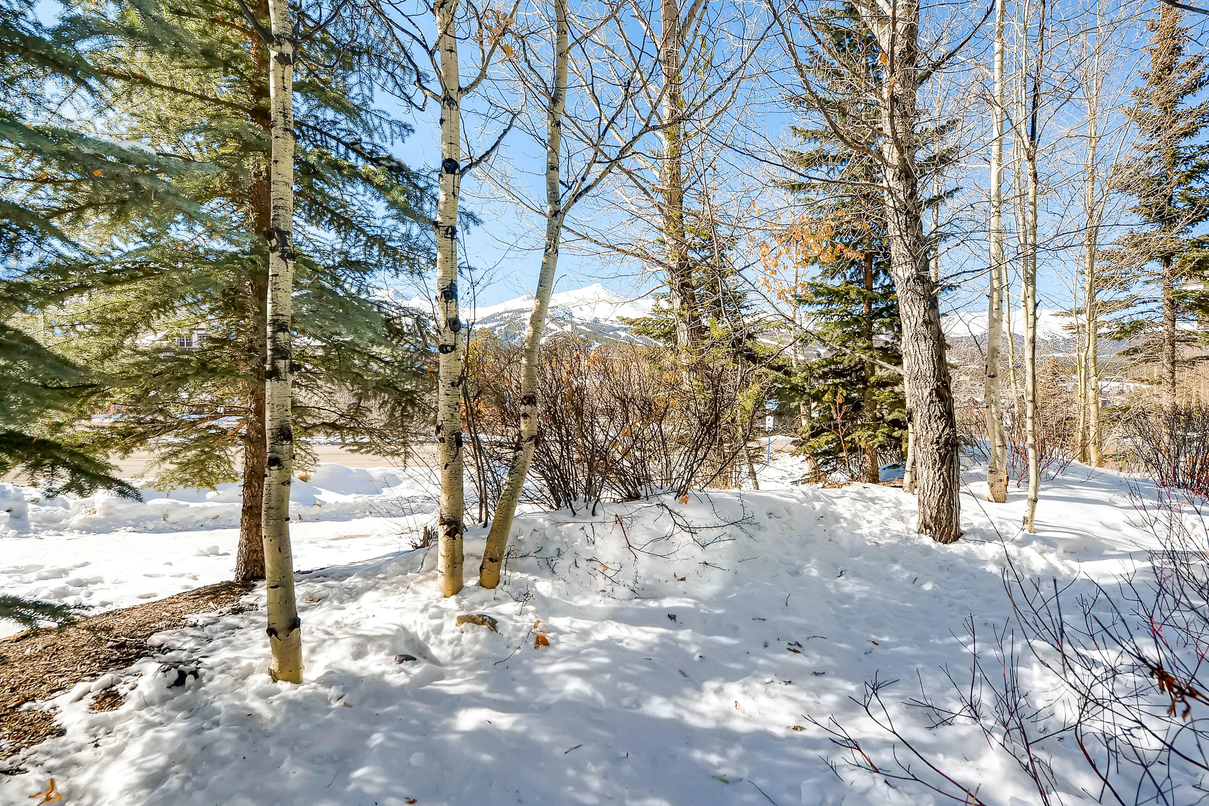 Main Street Junction #21