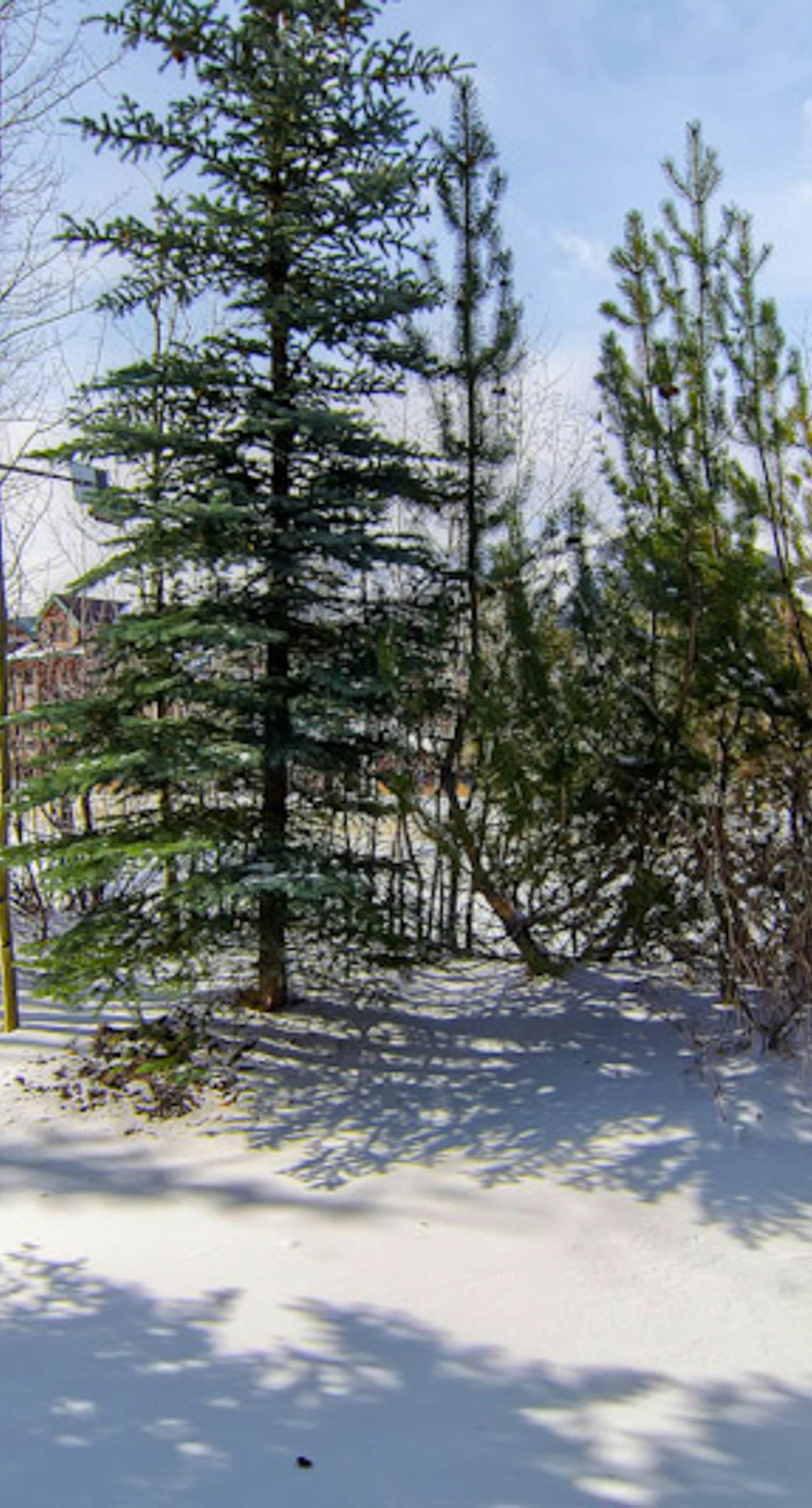 Main Street Junction #32