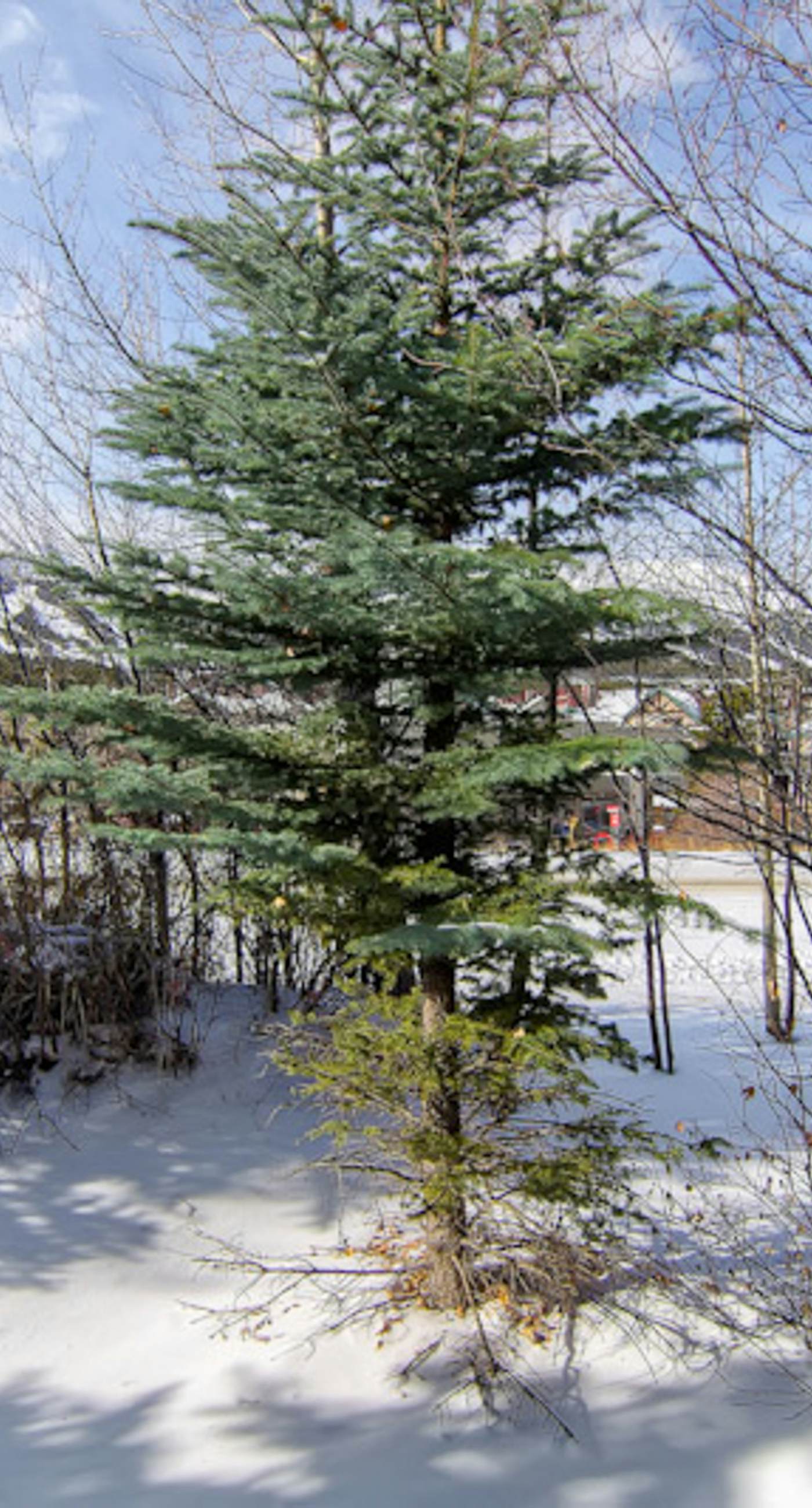 Main Street Junction #32