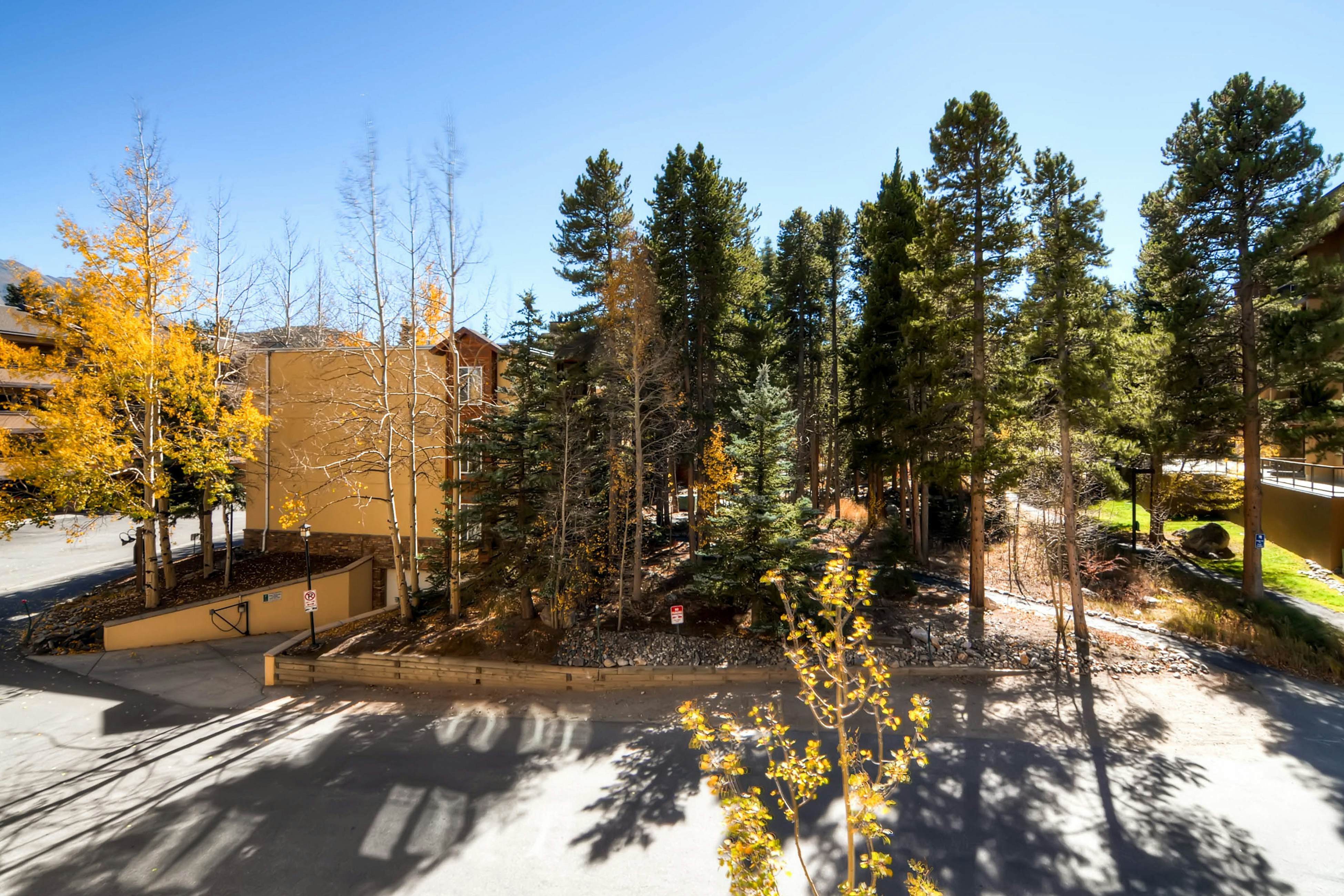 Water House On Main Street #6206