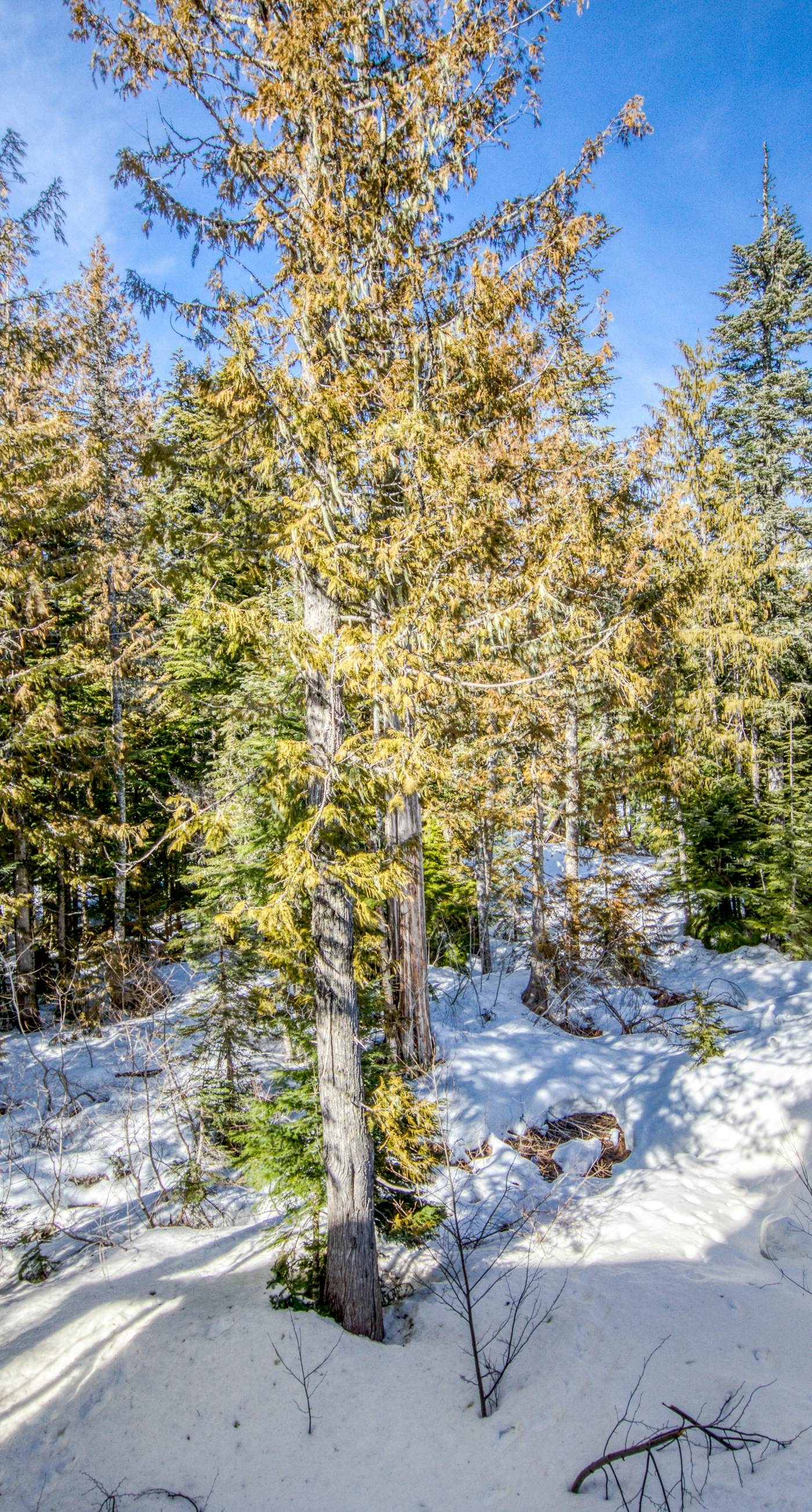 #201 Grand Lodge South Master Suite