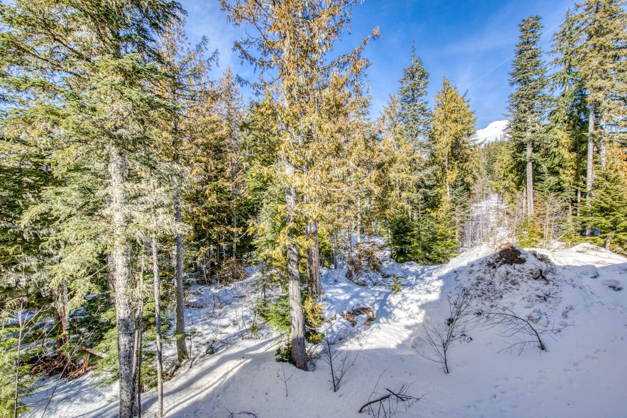 201 Grand Lodge South Master Suite 3 BD Government Camp, OR Vacation