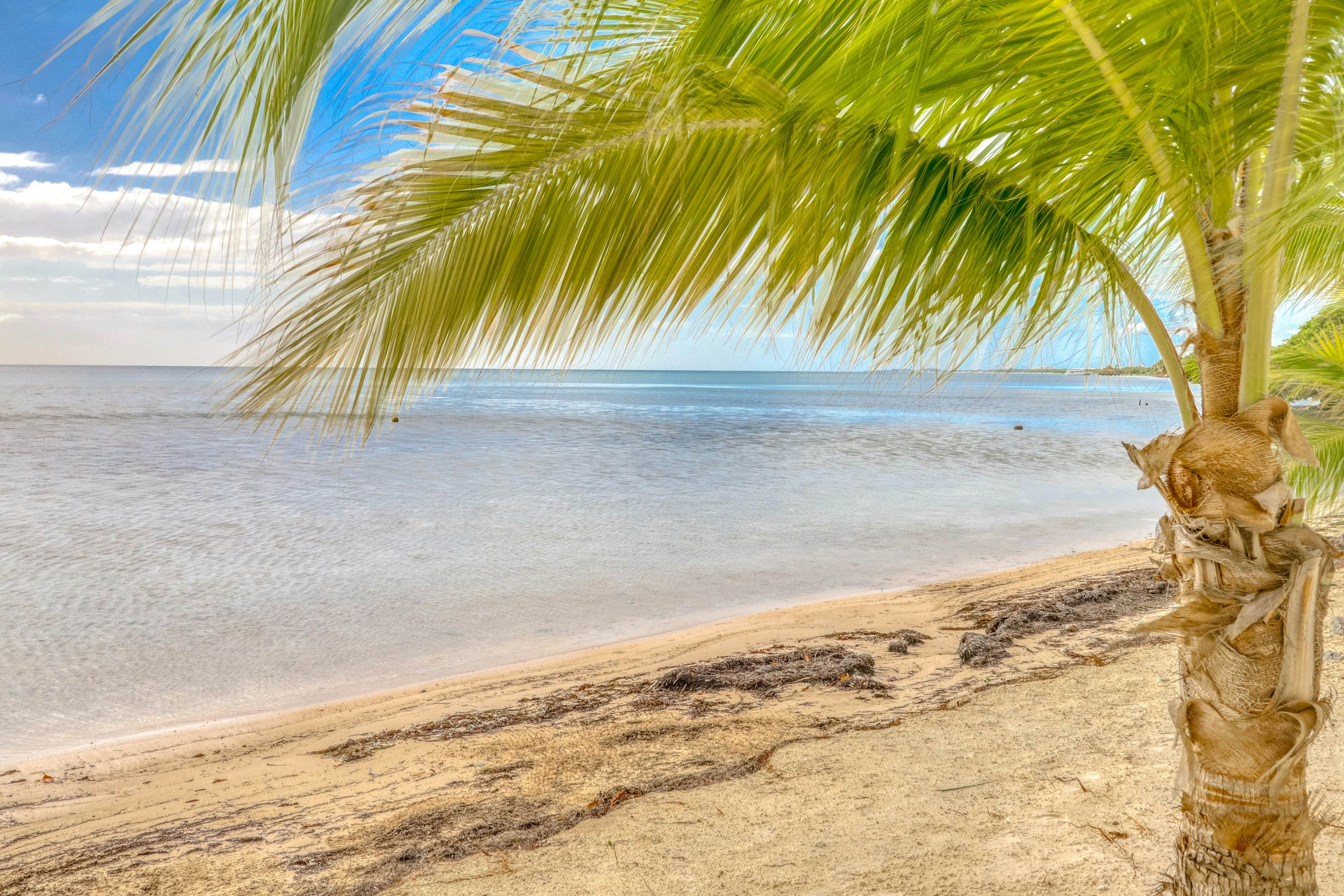 Residencial Torre Península # 3C, La Garza