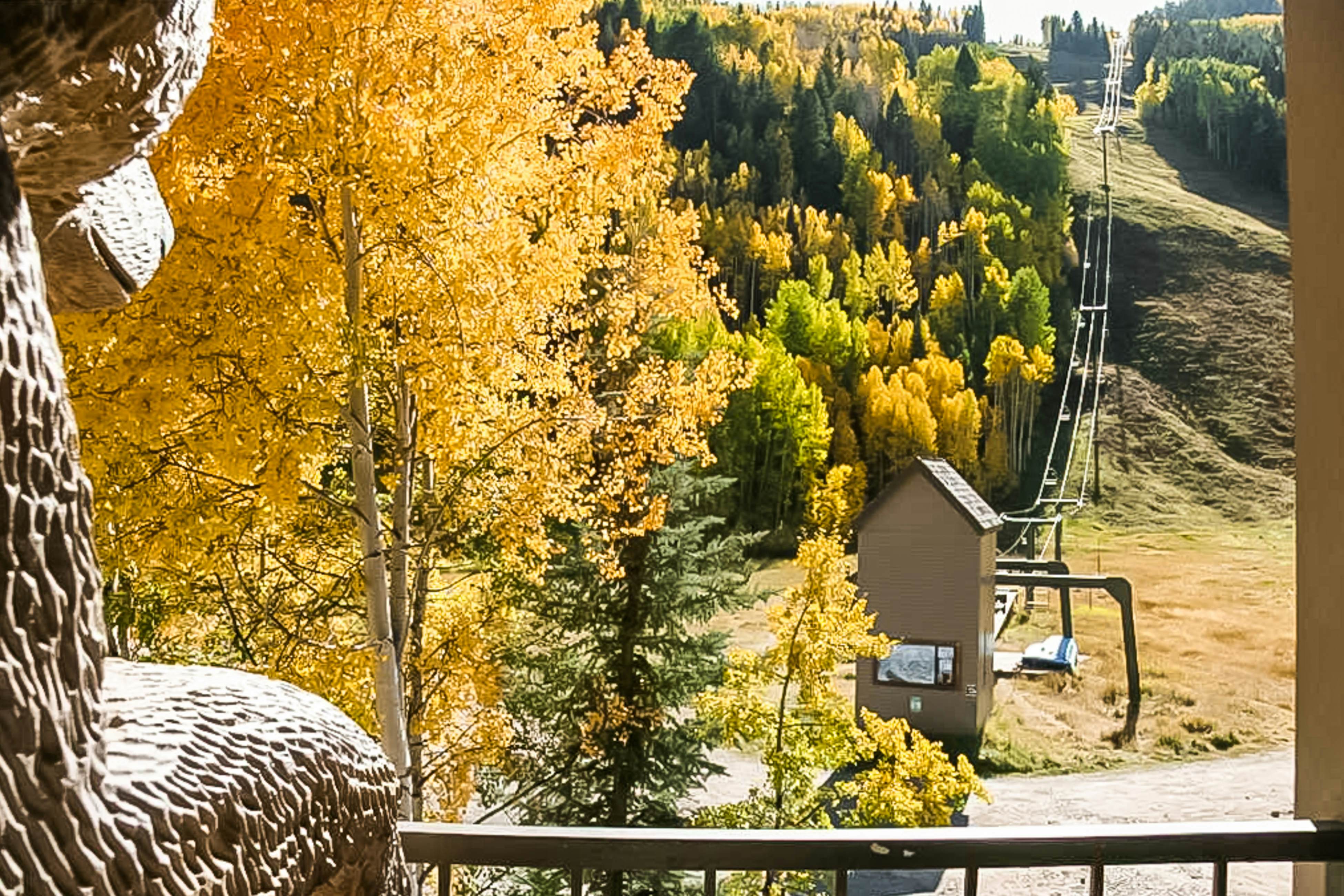 Cimarron 13 - Mountain Retreat