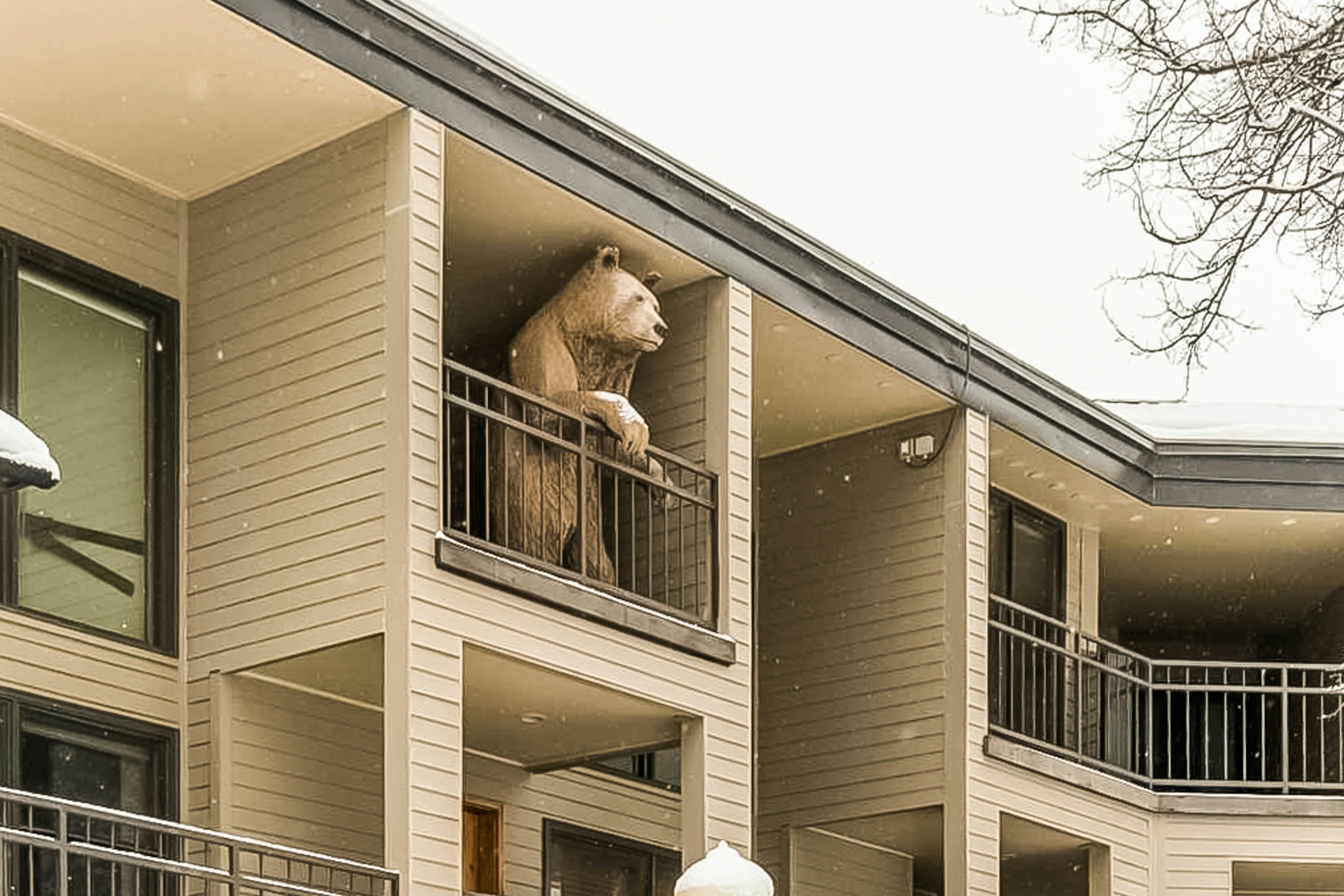 Cimarron 13 - Mountain Retreat