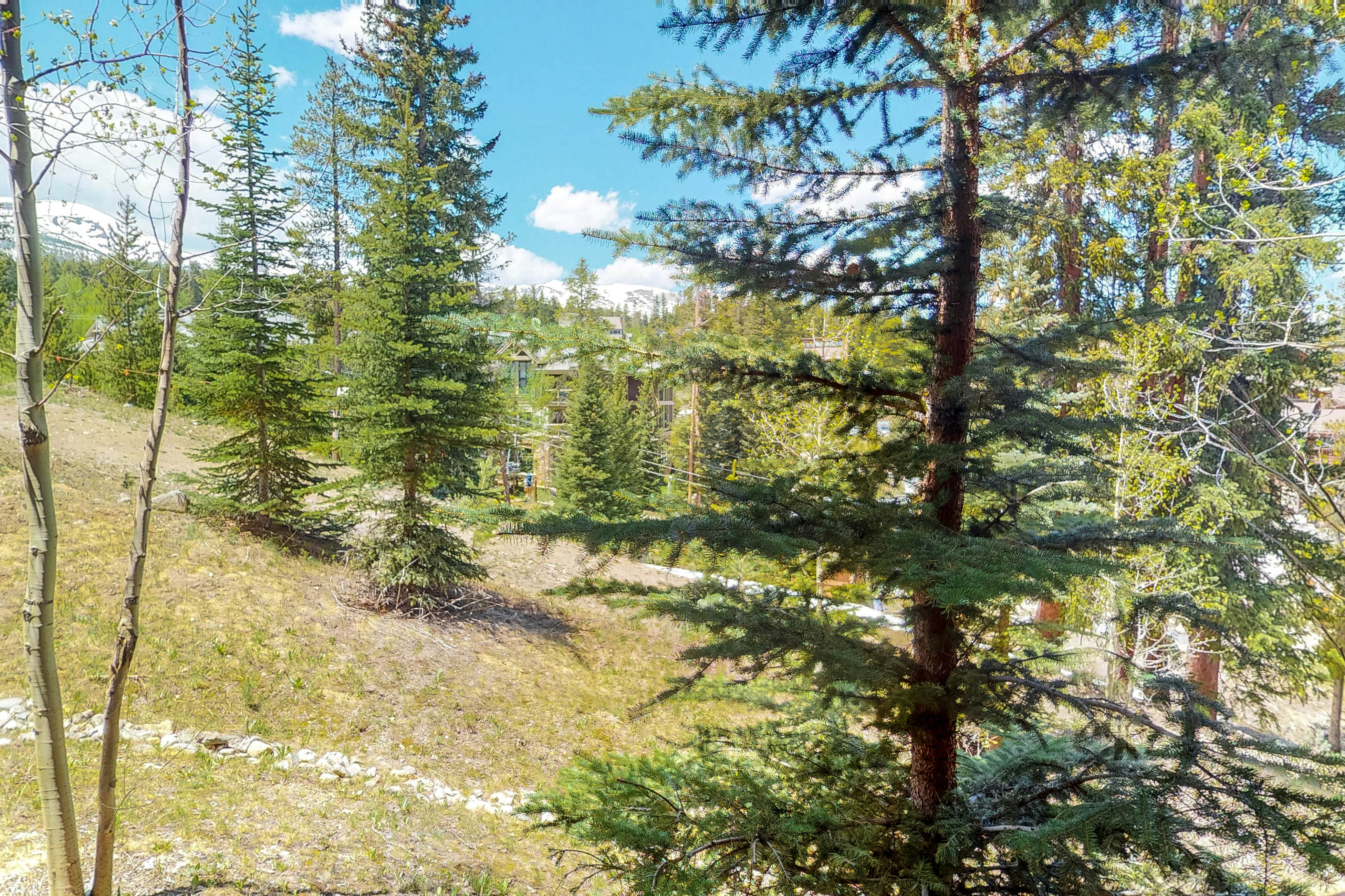 BlueSky Breckenridge #406