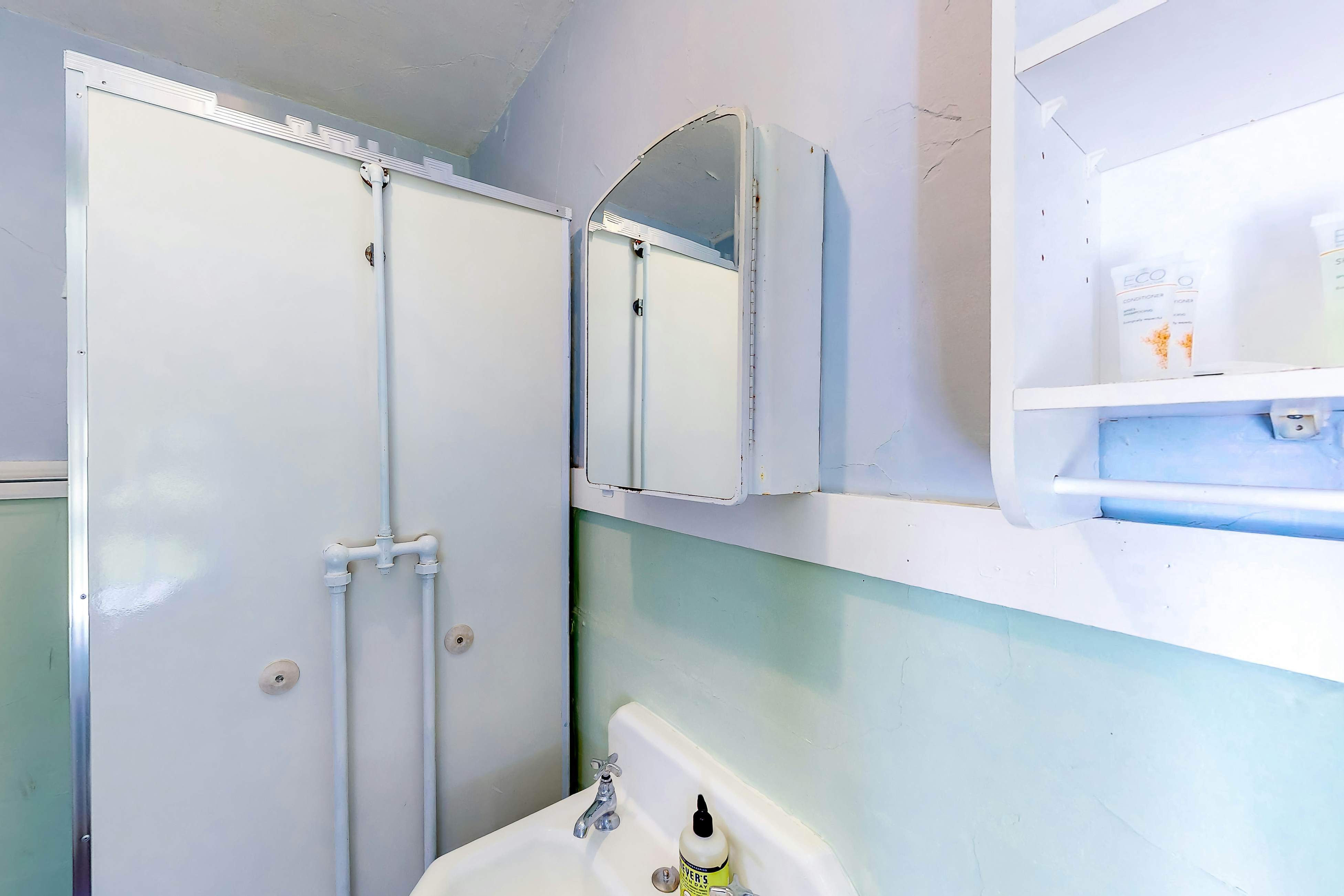 Garden Island's Birch