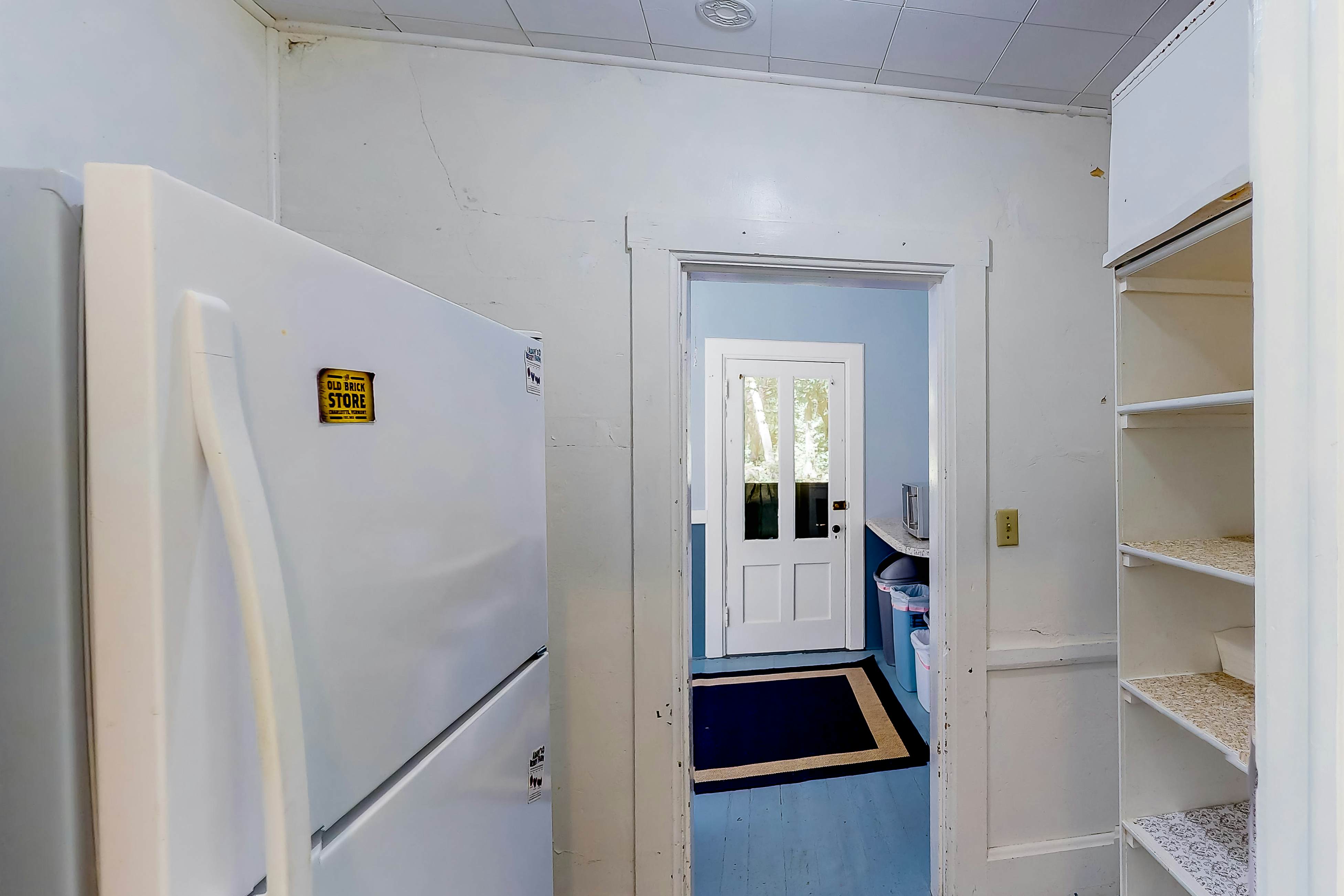 Garden Island's Birch