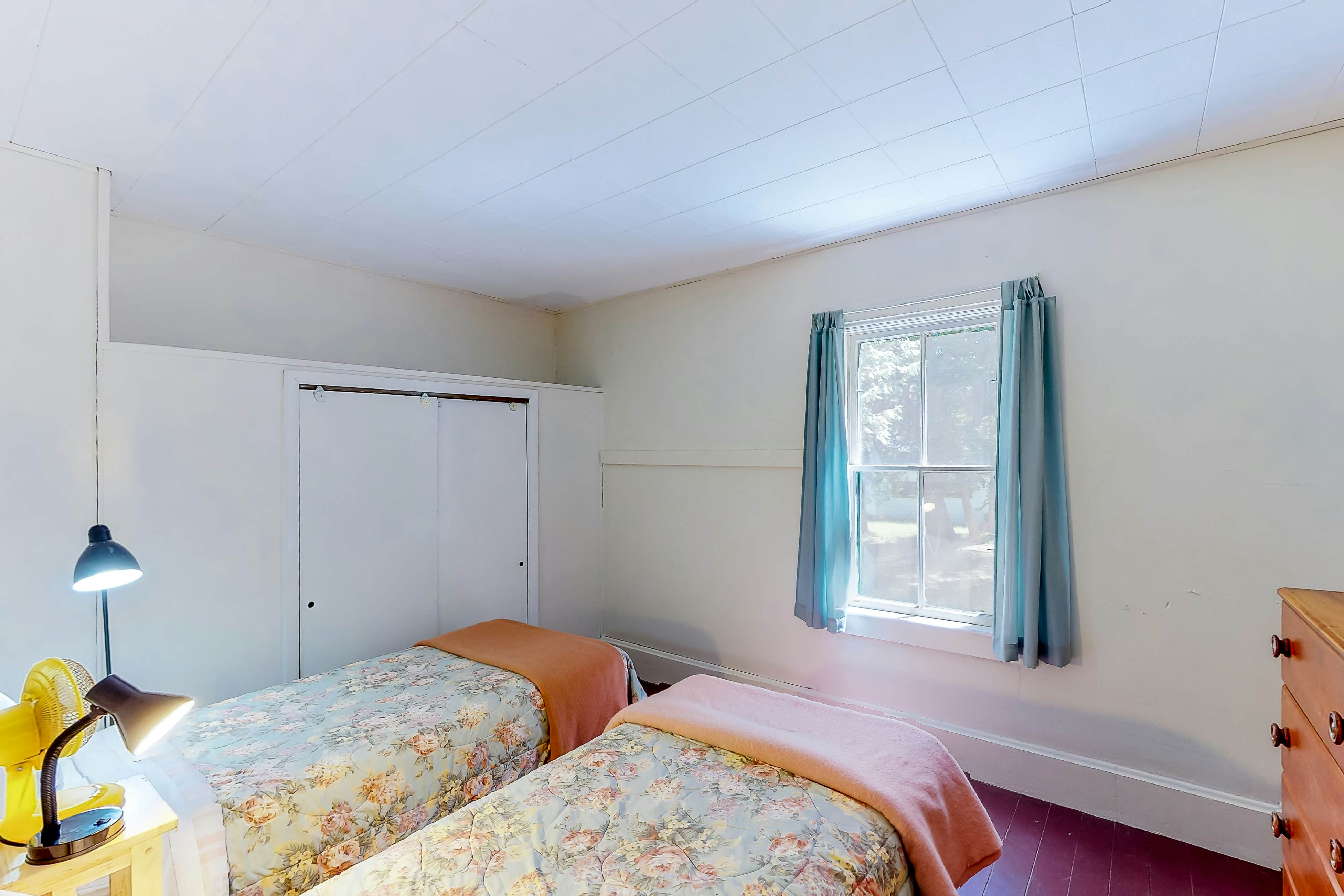 Garden Island's Birch