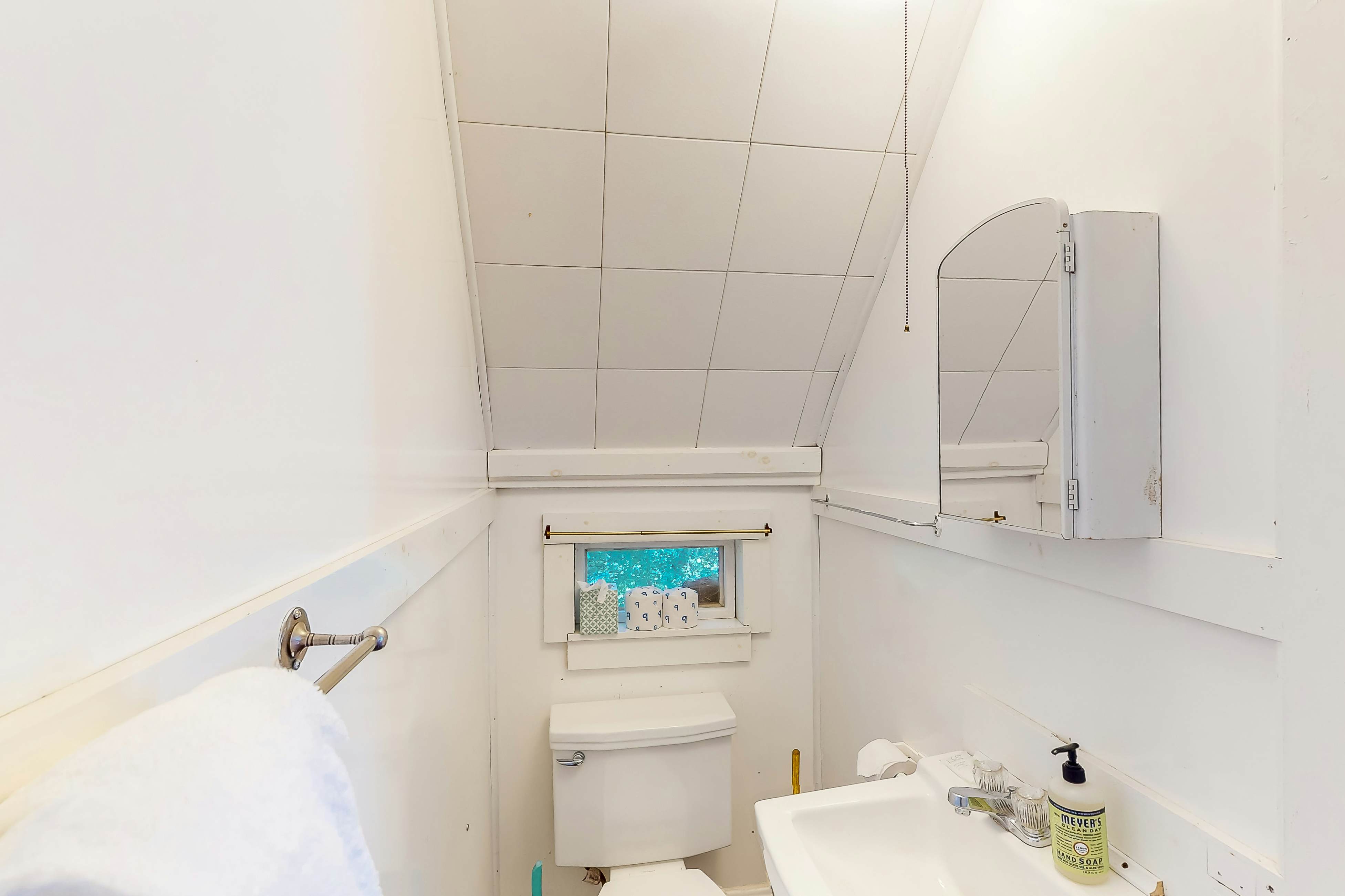 Garden Island's Birch