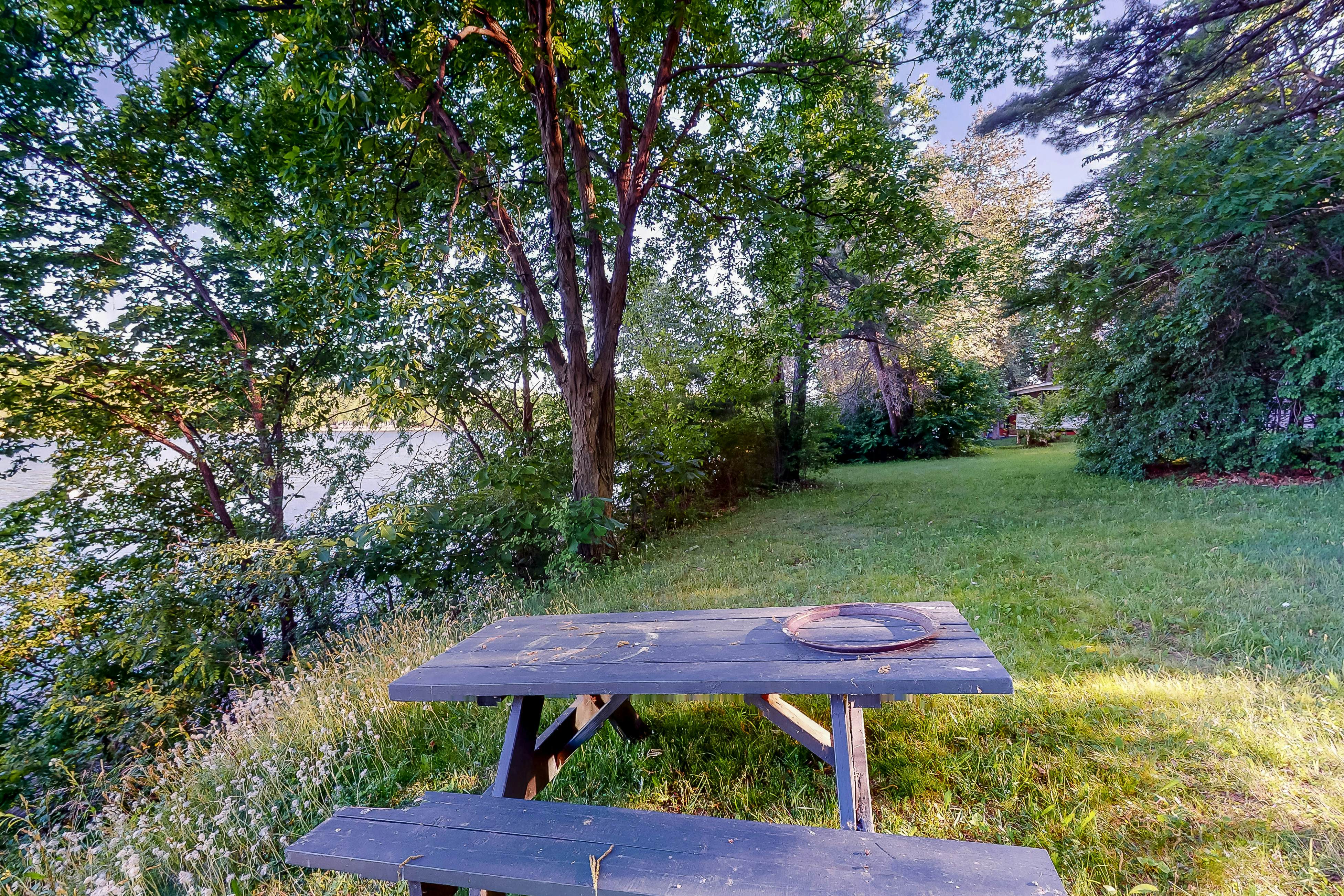 Garden Island's Birch