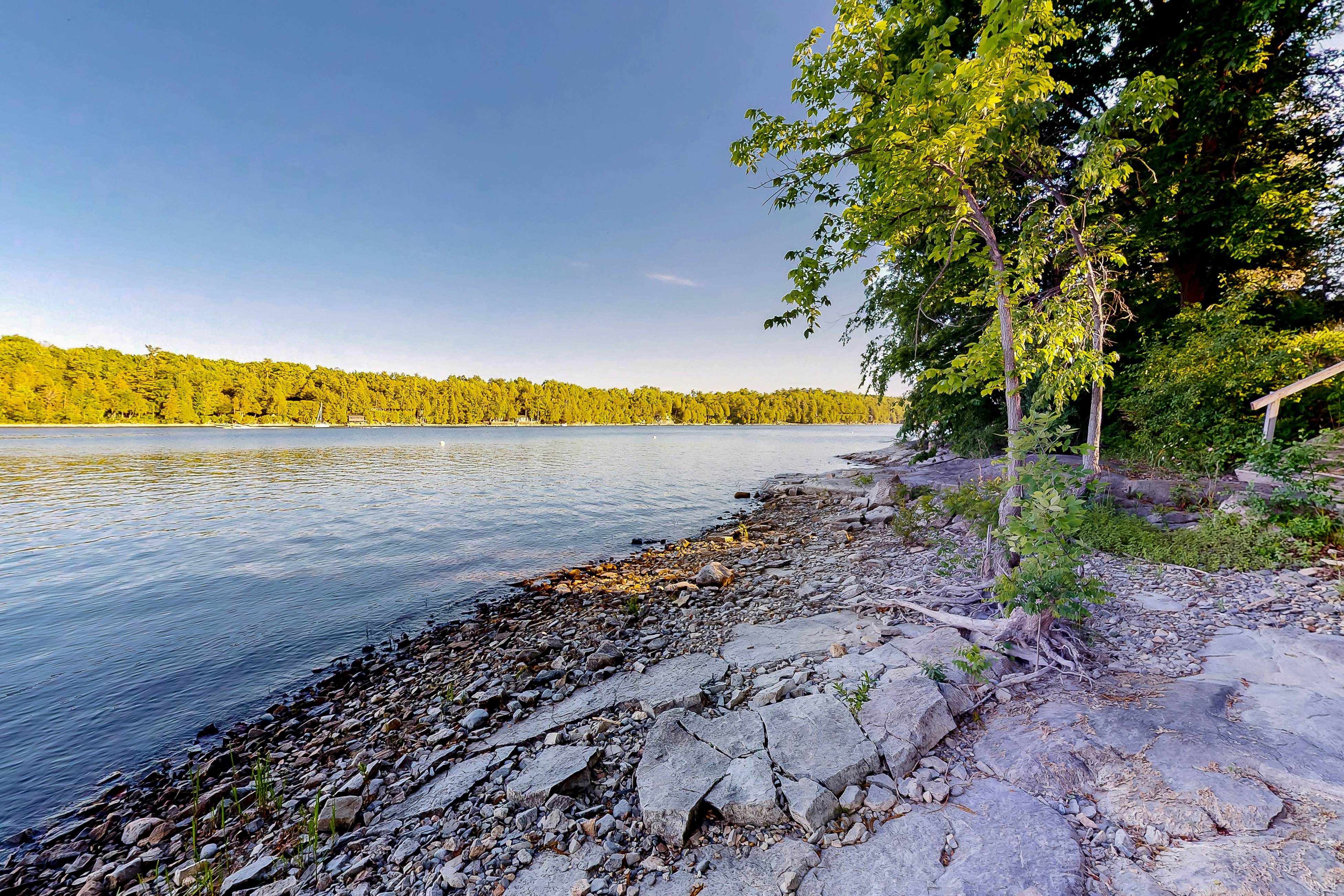 Garden Island's Birch