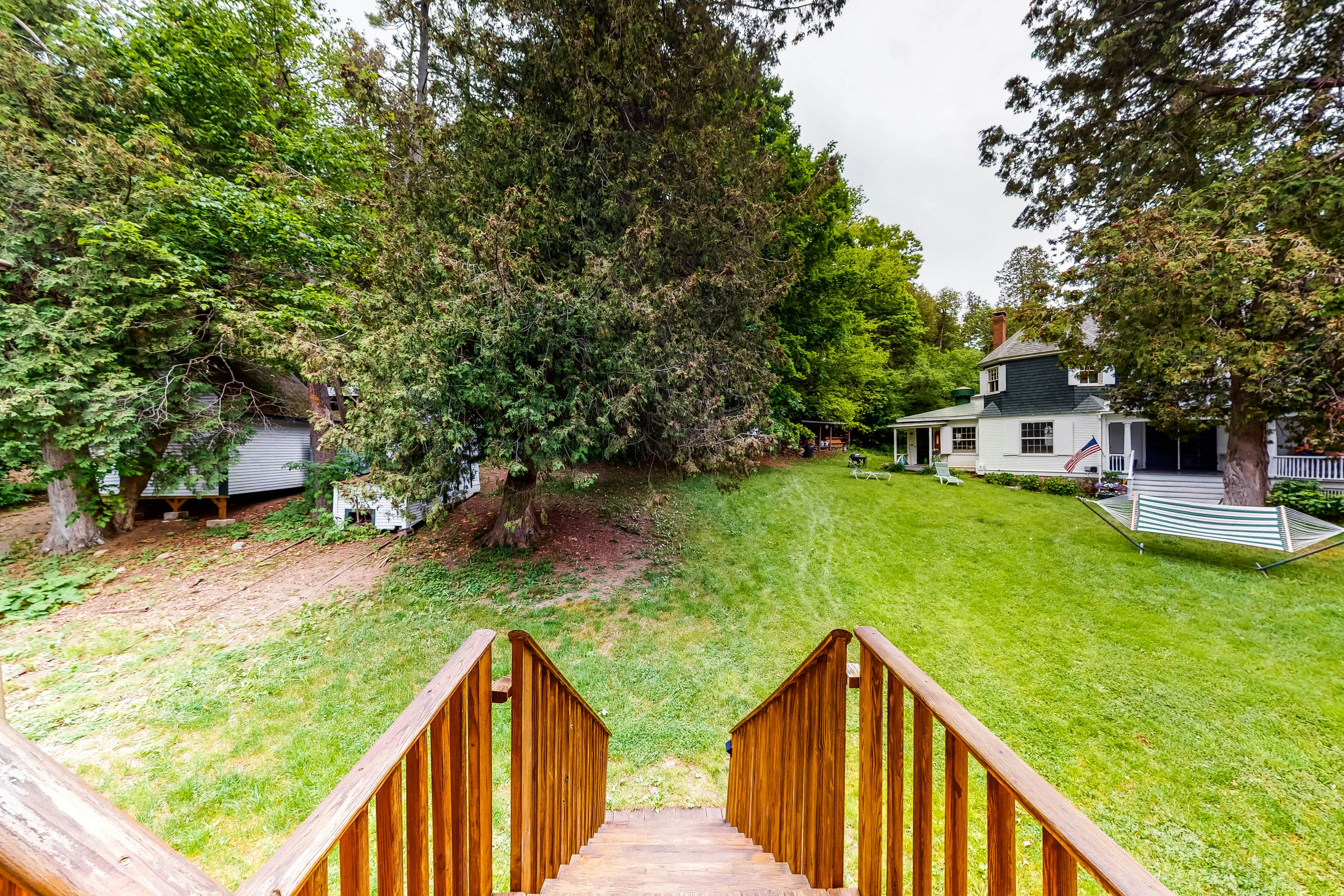 Garden Island's Willow