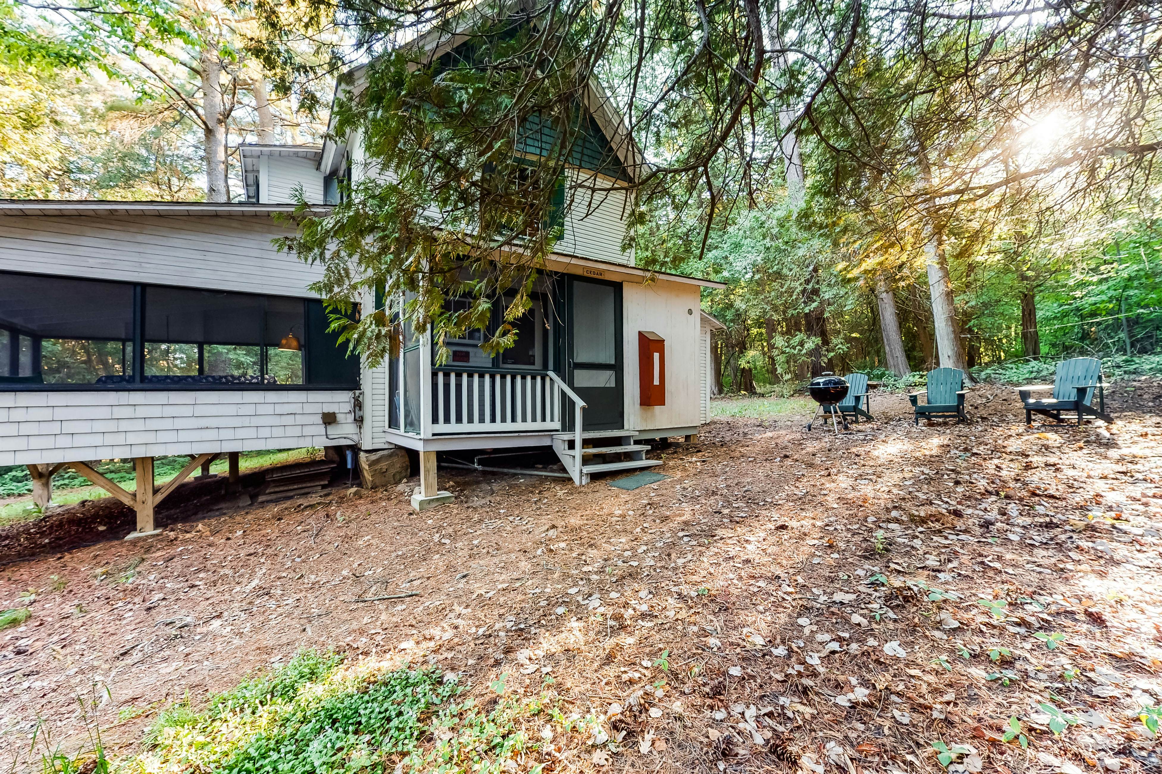 Garden Island's Cedar