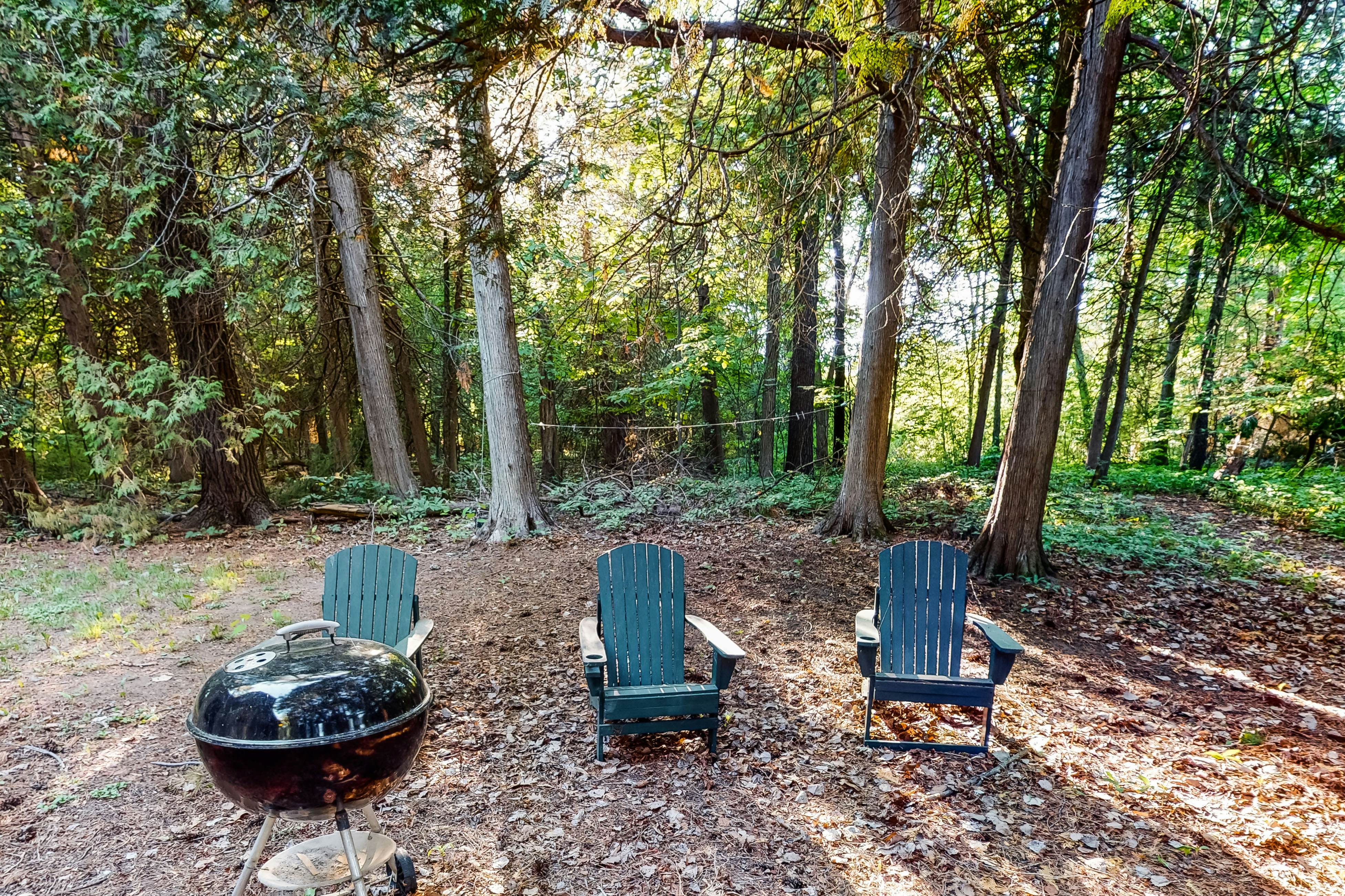 Garden Island's Cedar