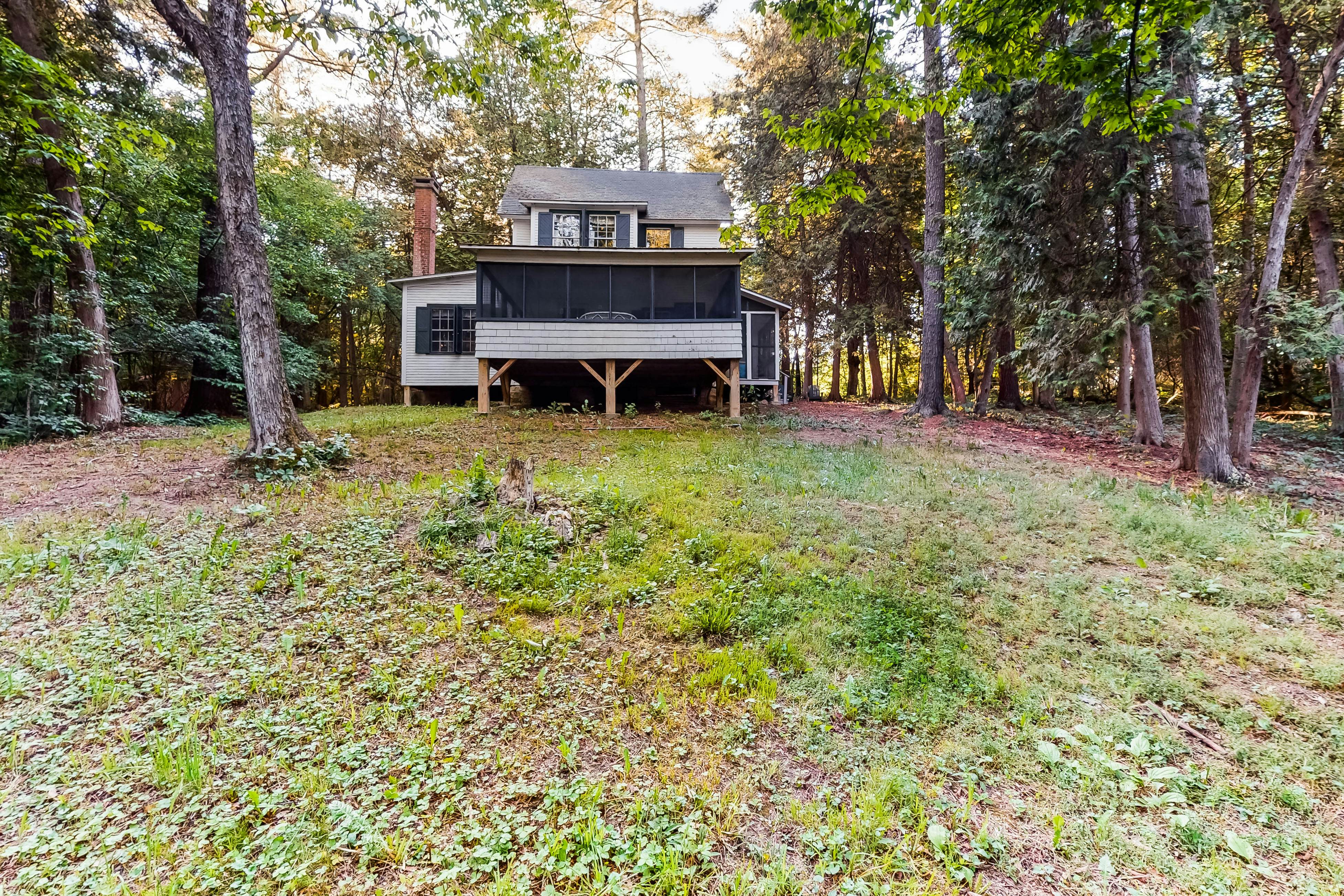 Garden Island's Cedar