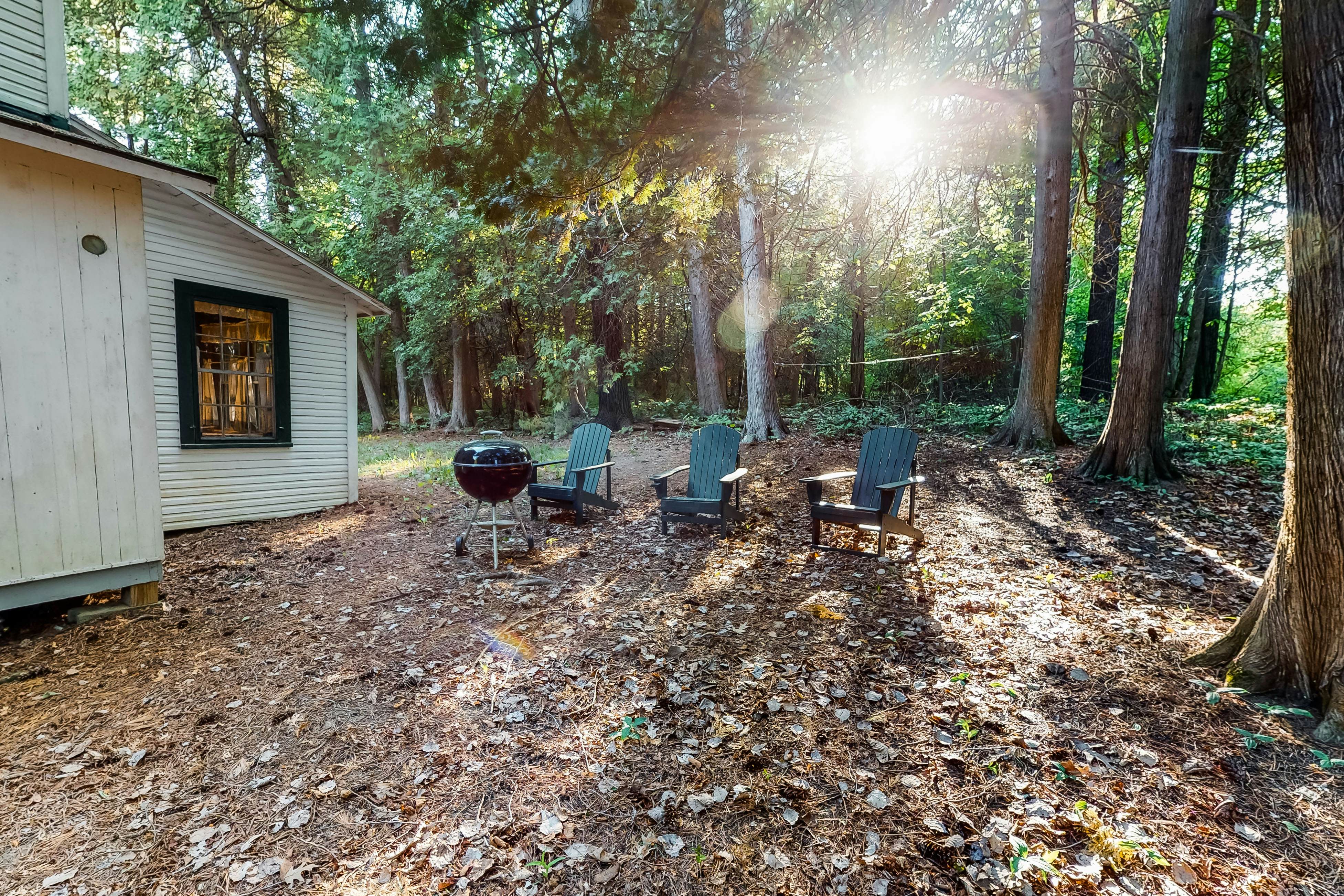 Garden Island's Cedar