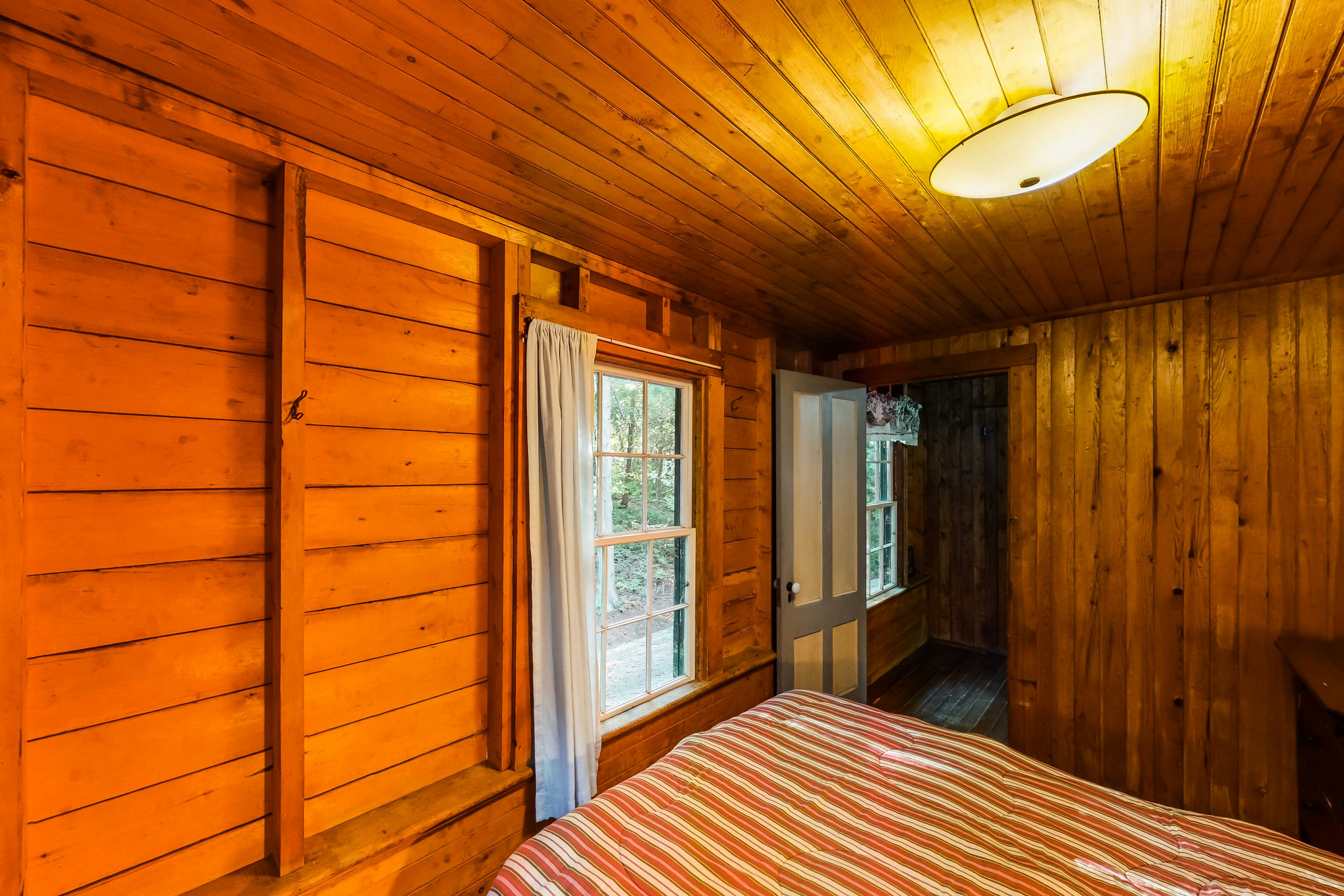 Garden Island's Cedar