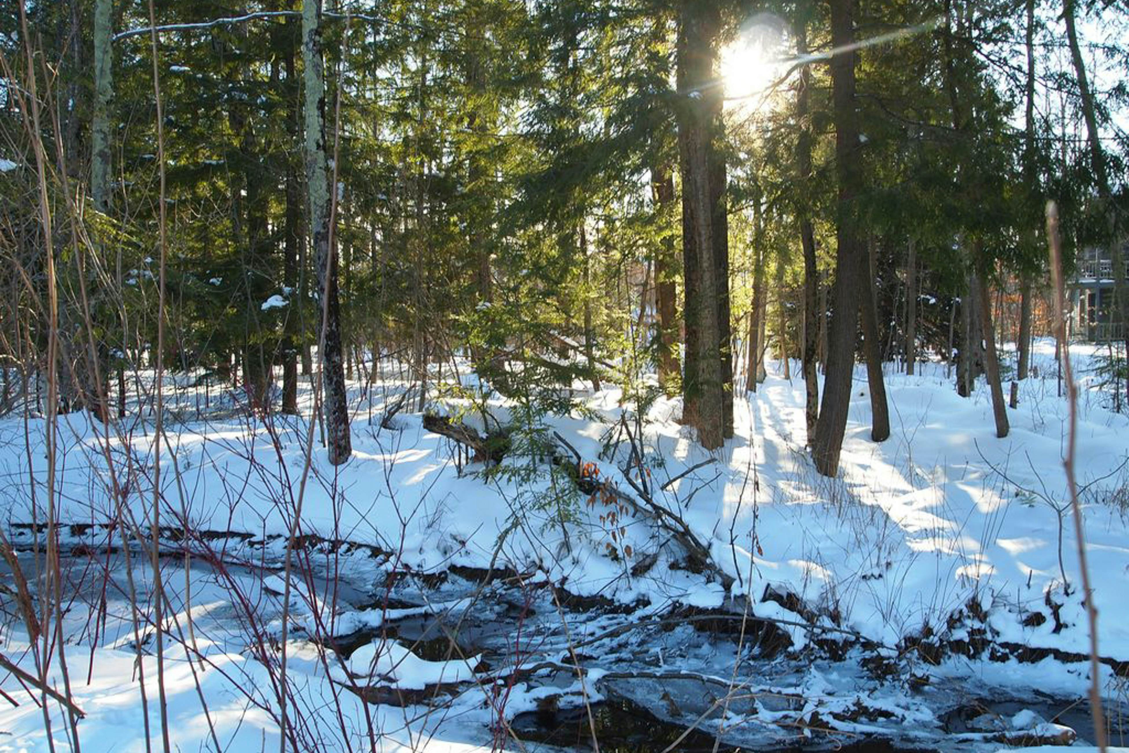 Wintergreen Condo, Unit 540