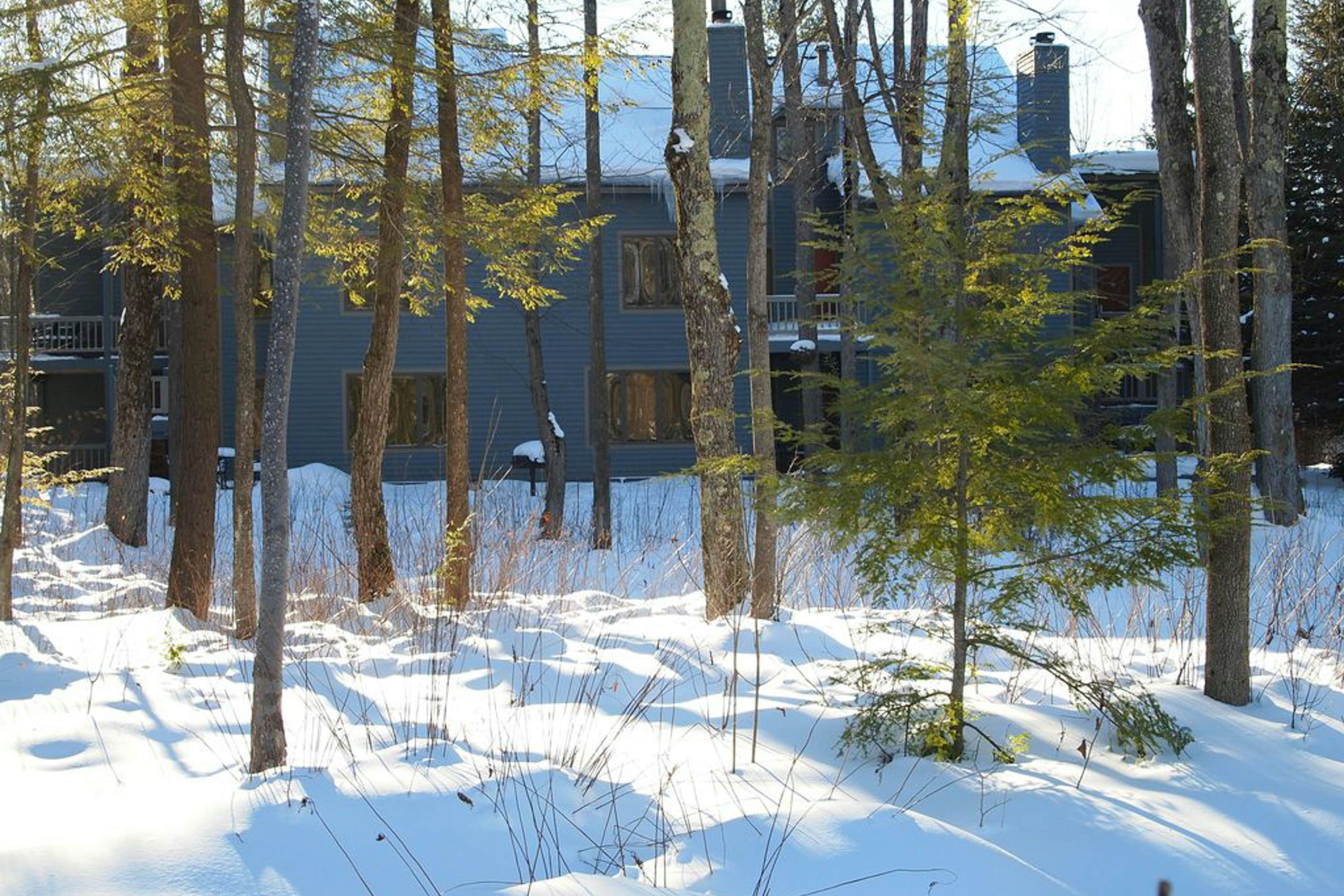 Wintergreen Condo, Unit 540