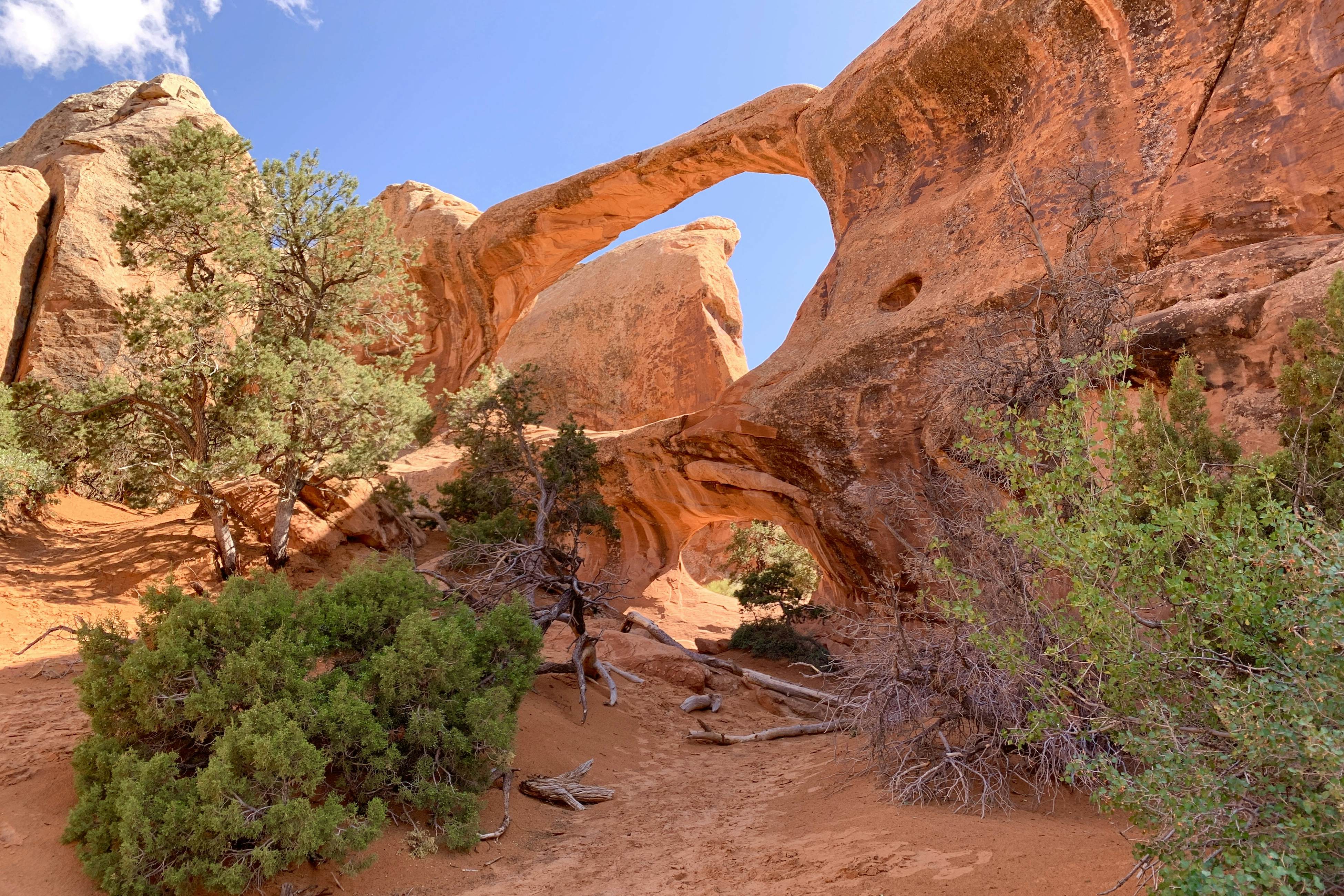 Rim Vista 16A3 - Arches Paradise