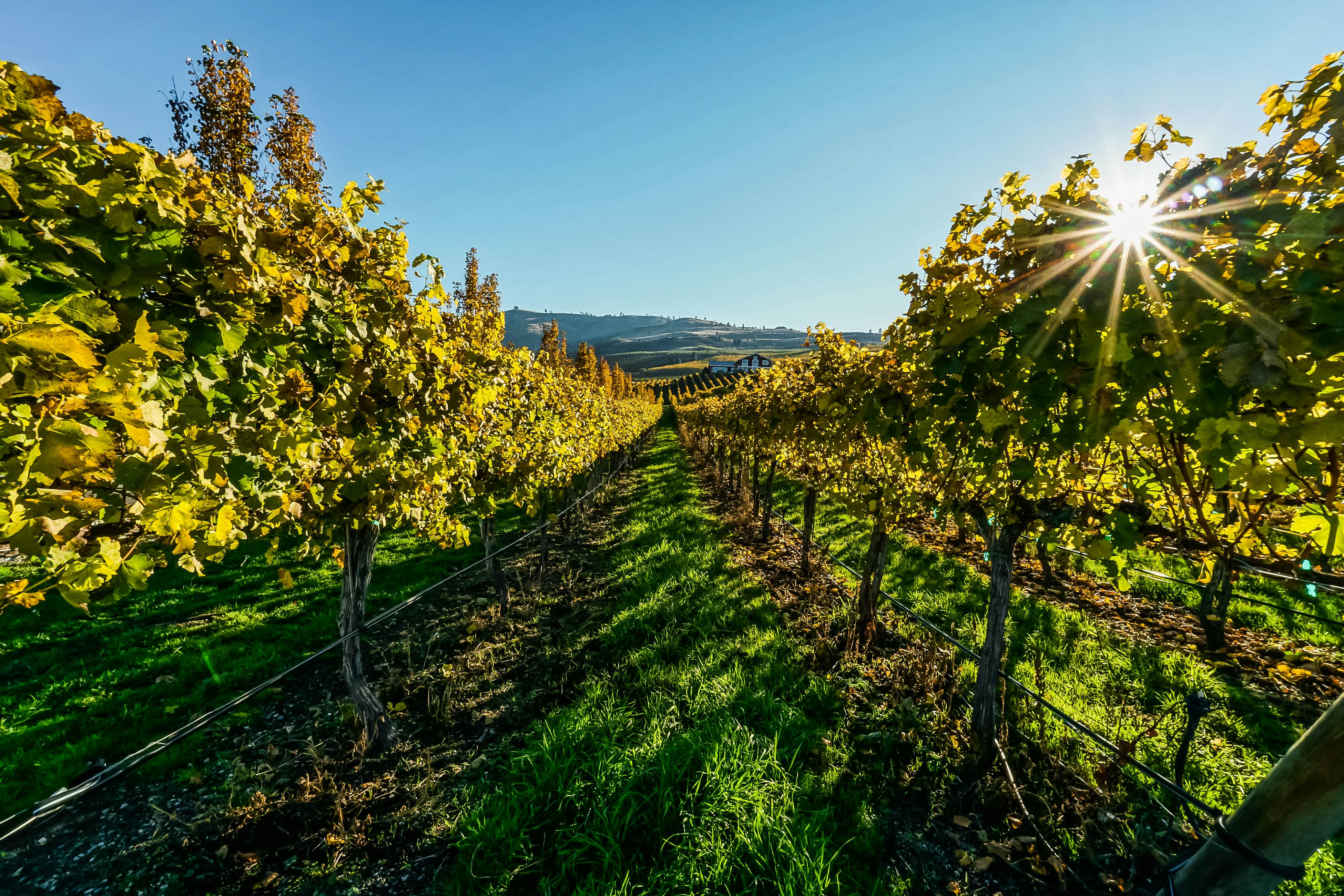 Spacious Lake Escape