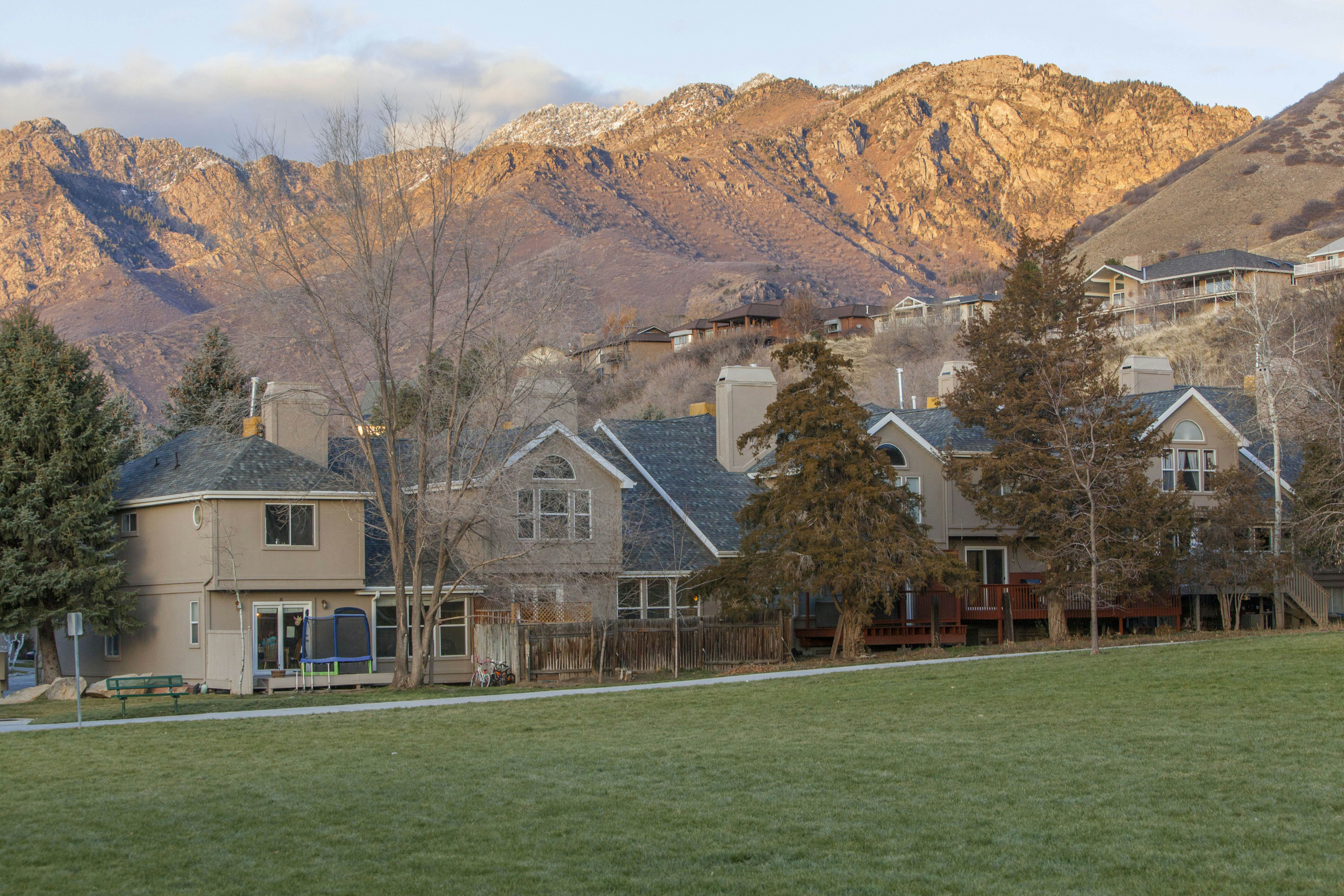 Skier's Four-Leaf Clover