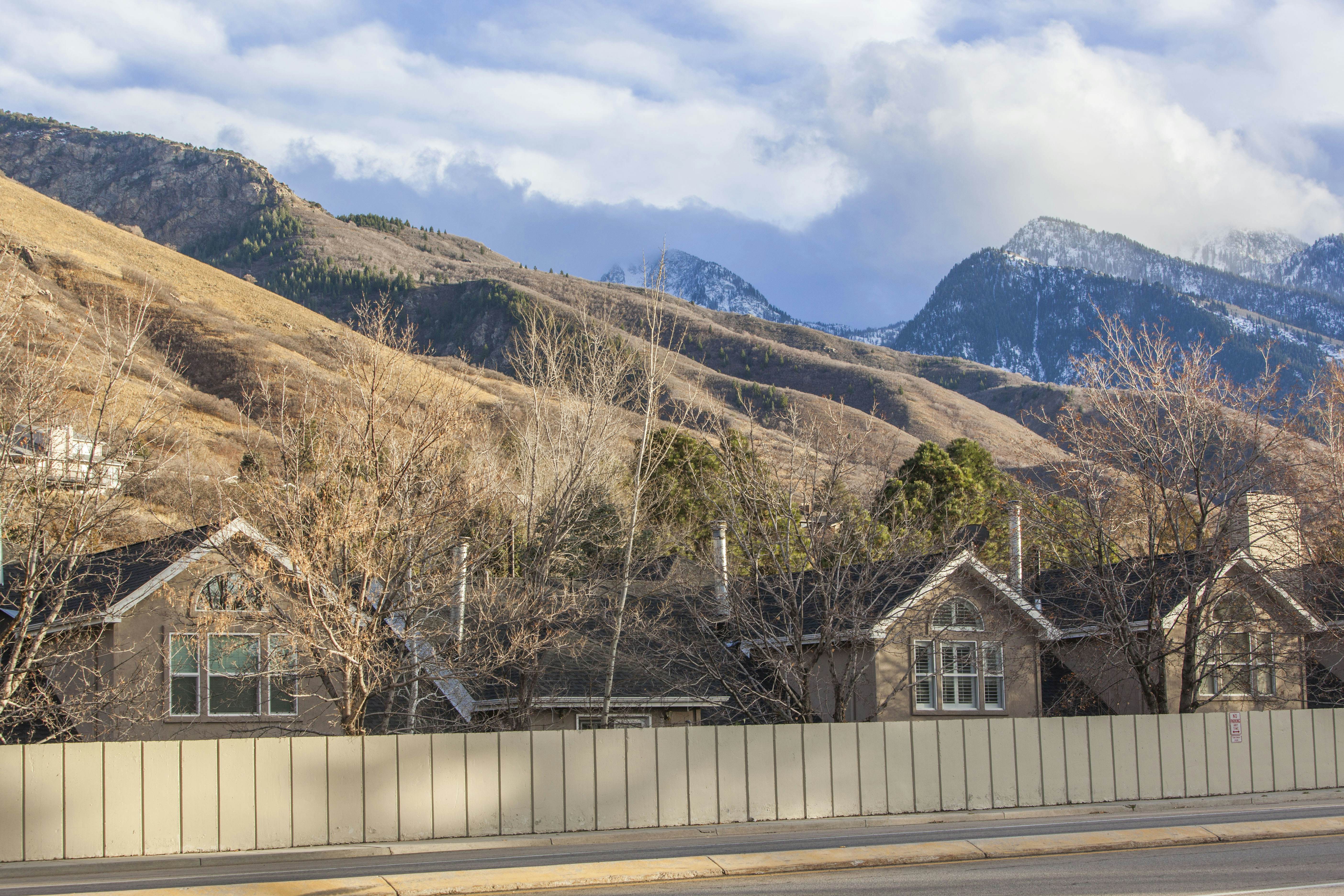 Skier's Four-Leaf Clover