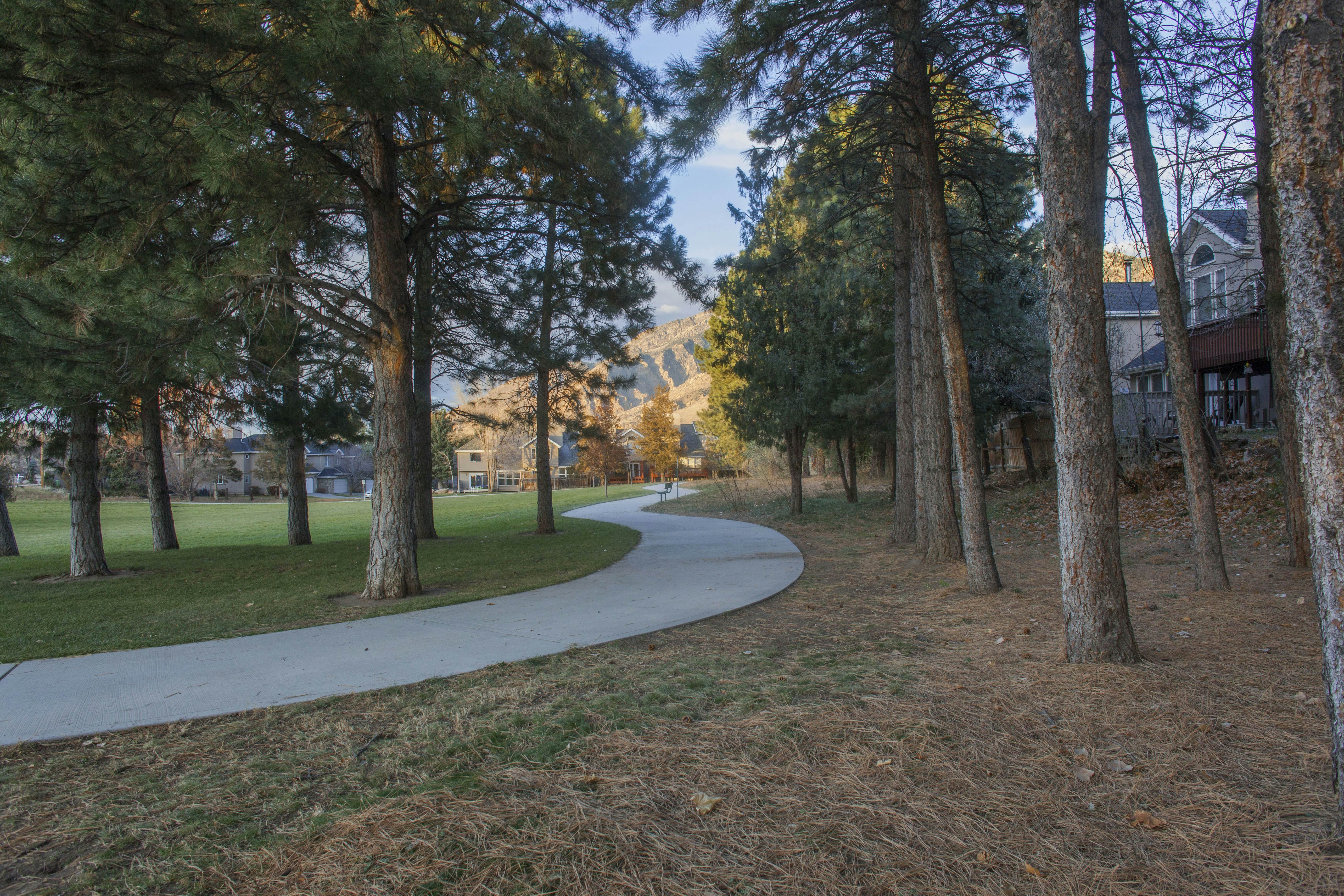Skier's Four-Leaf Clover