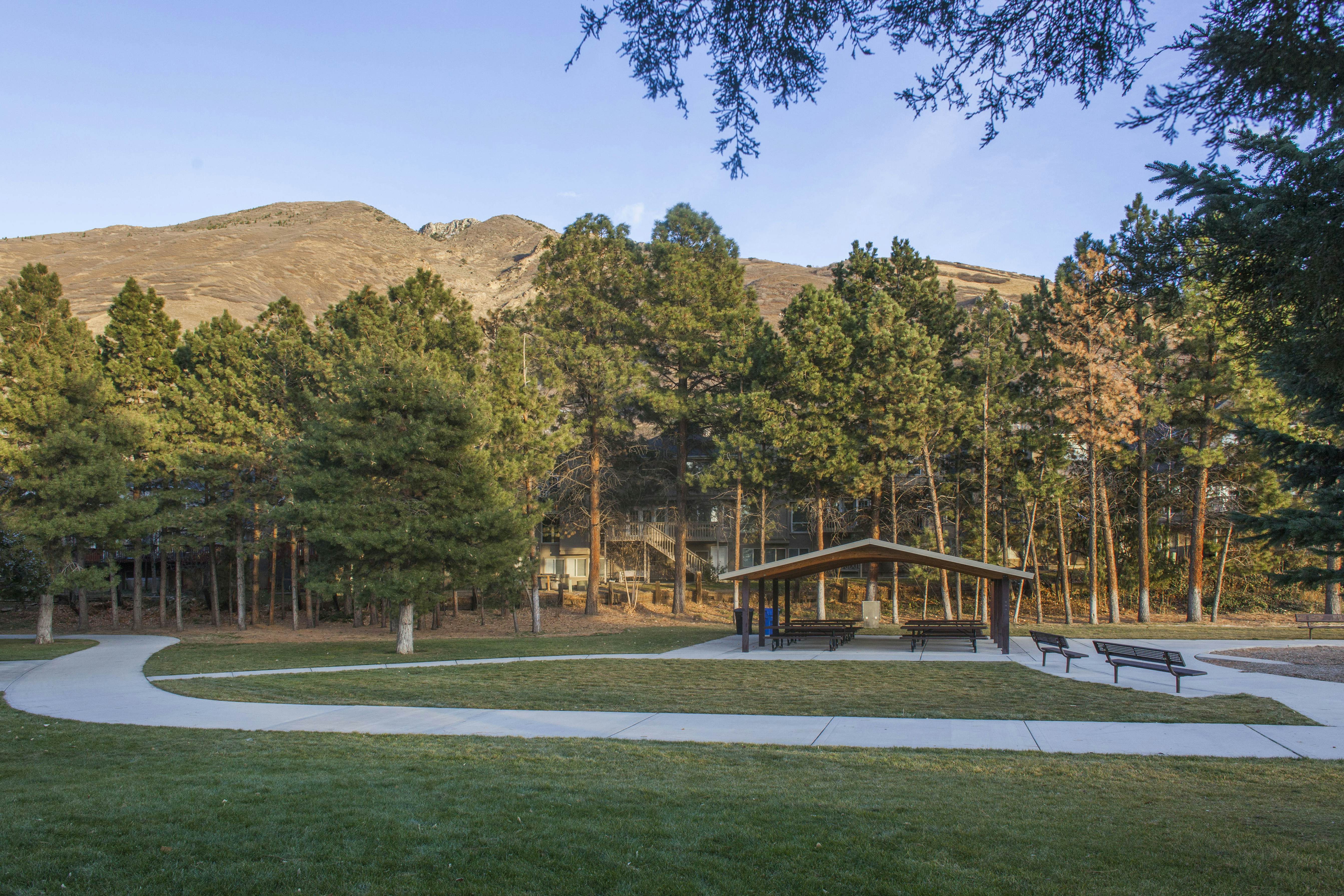 Skier's Four-Leaf Clover