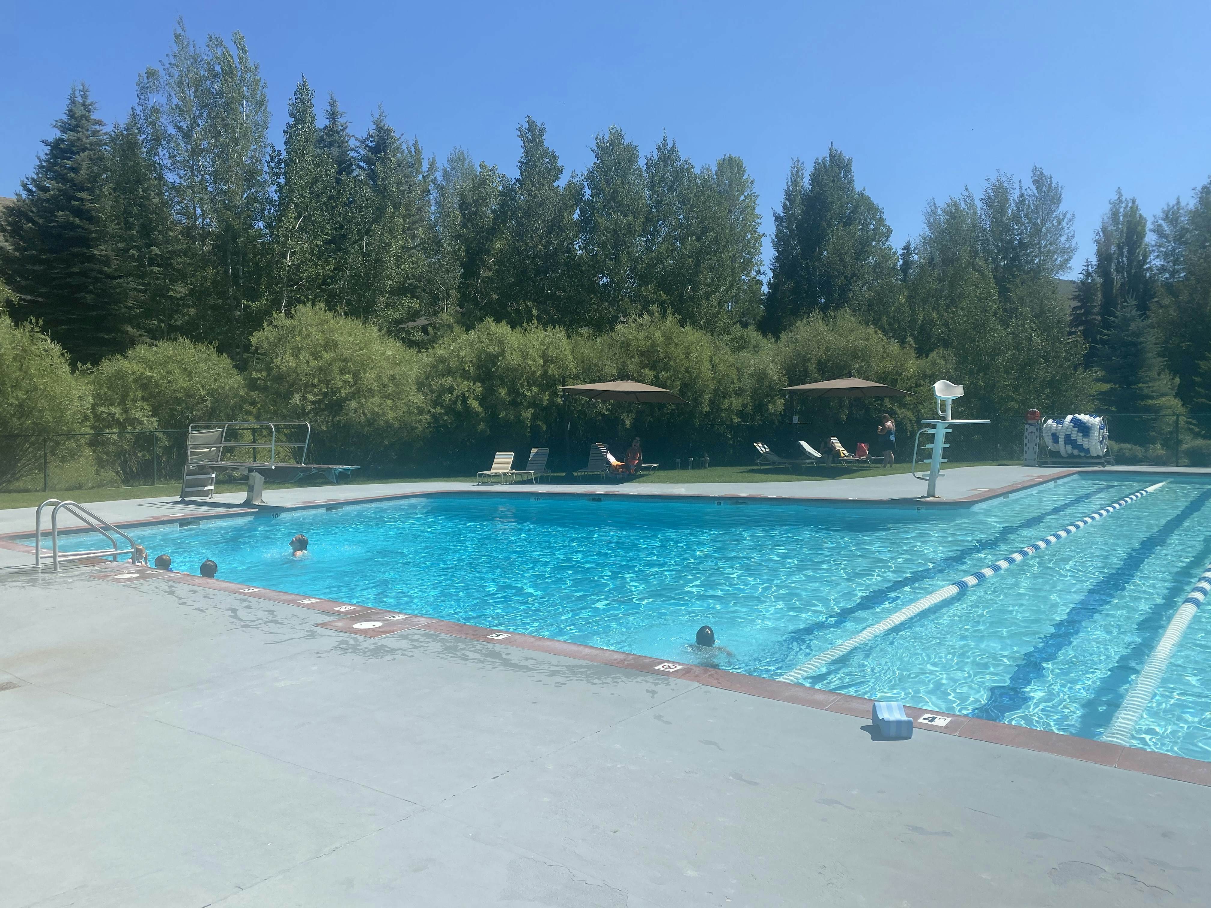 The Bluff Mountain Charmer