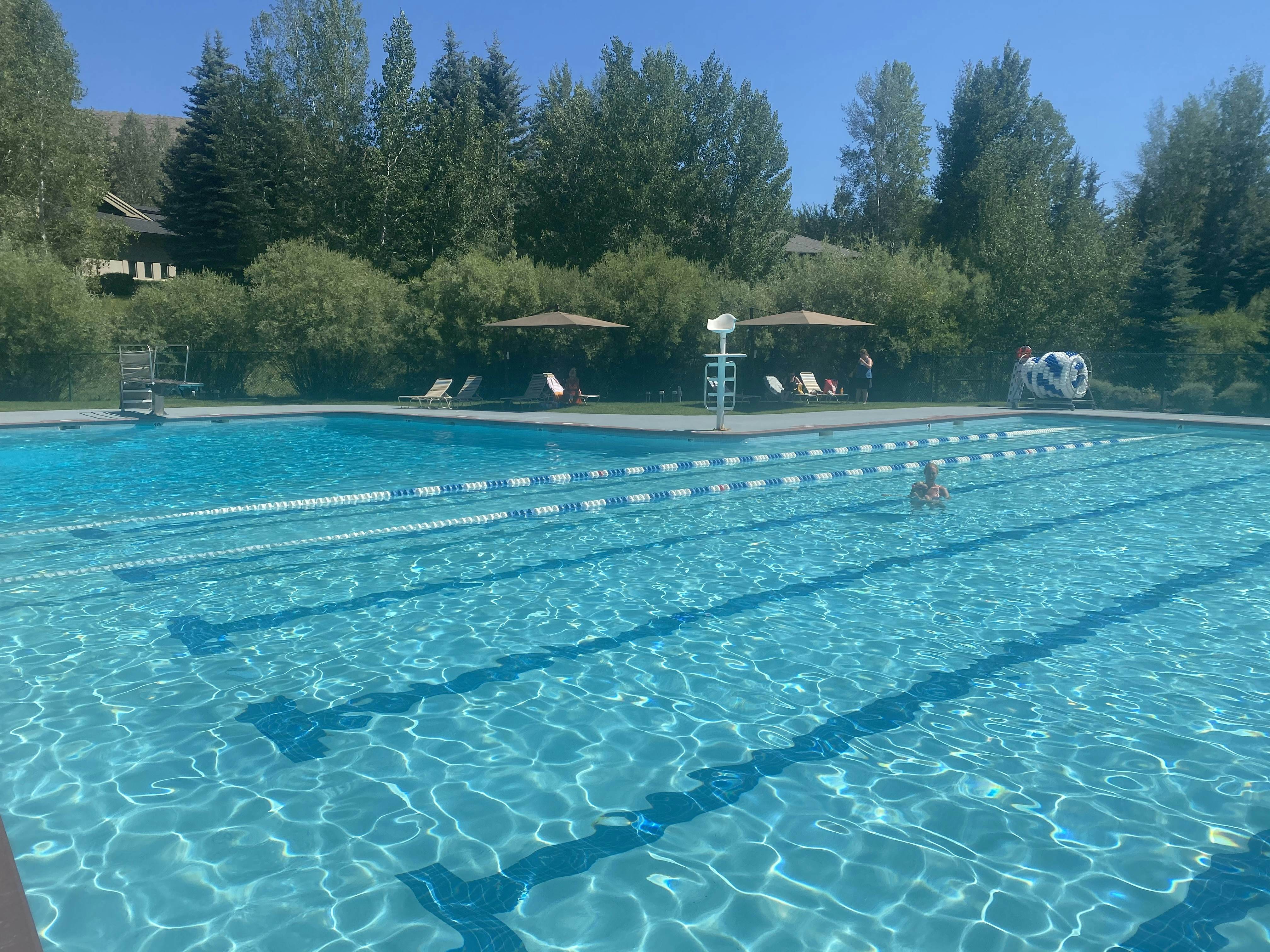 The Bluff Mountain Charmer