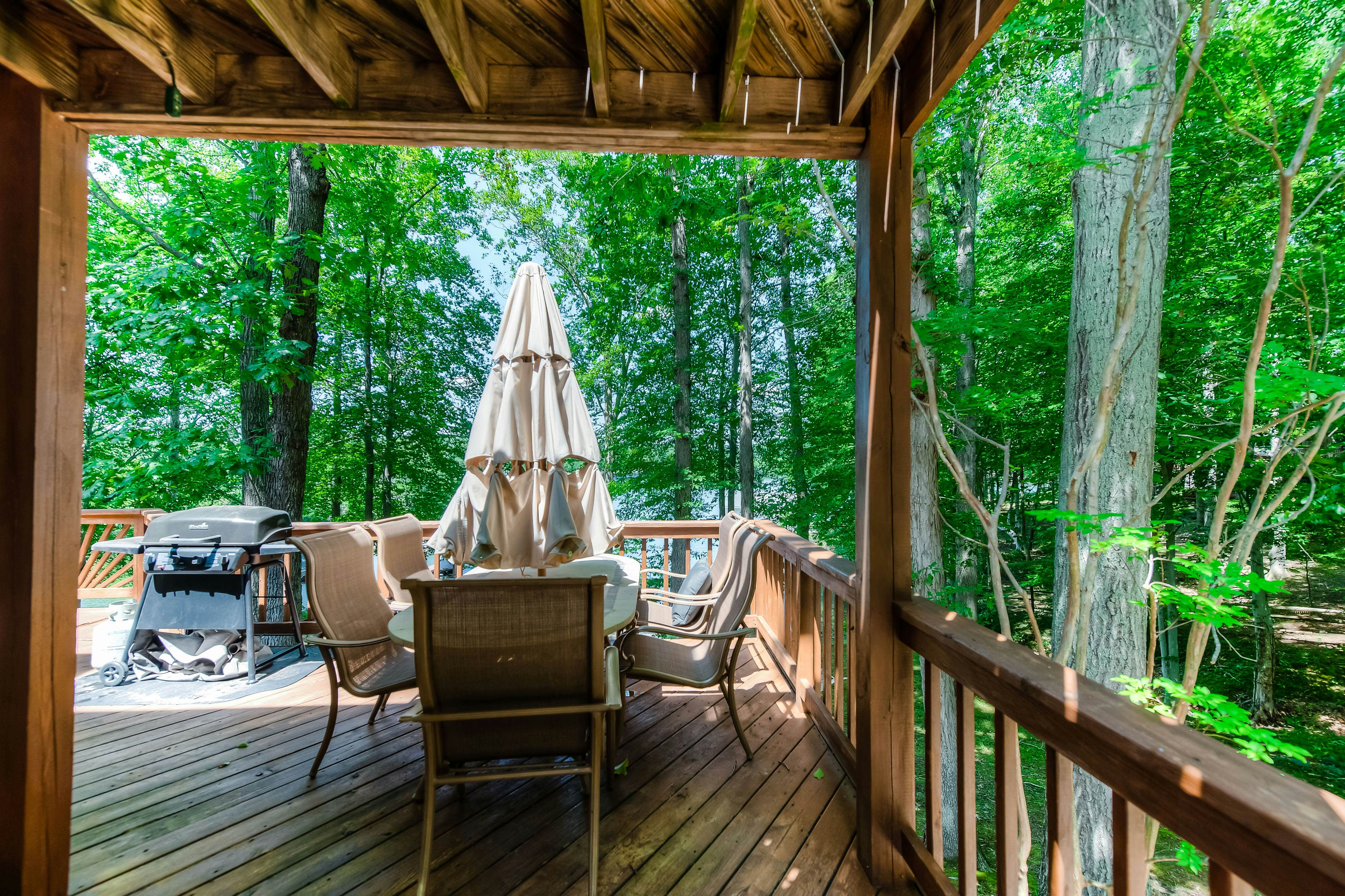 Unleashed on Lake Anna