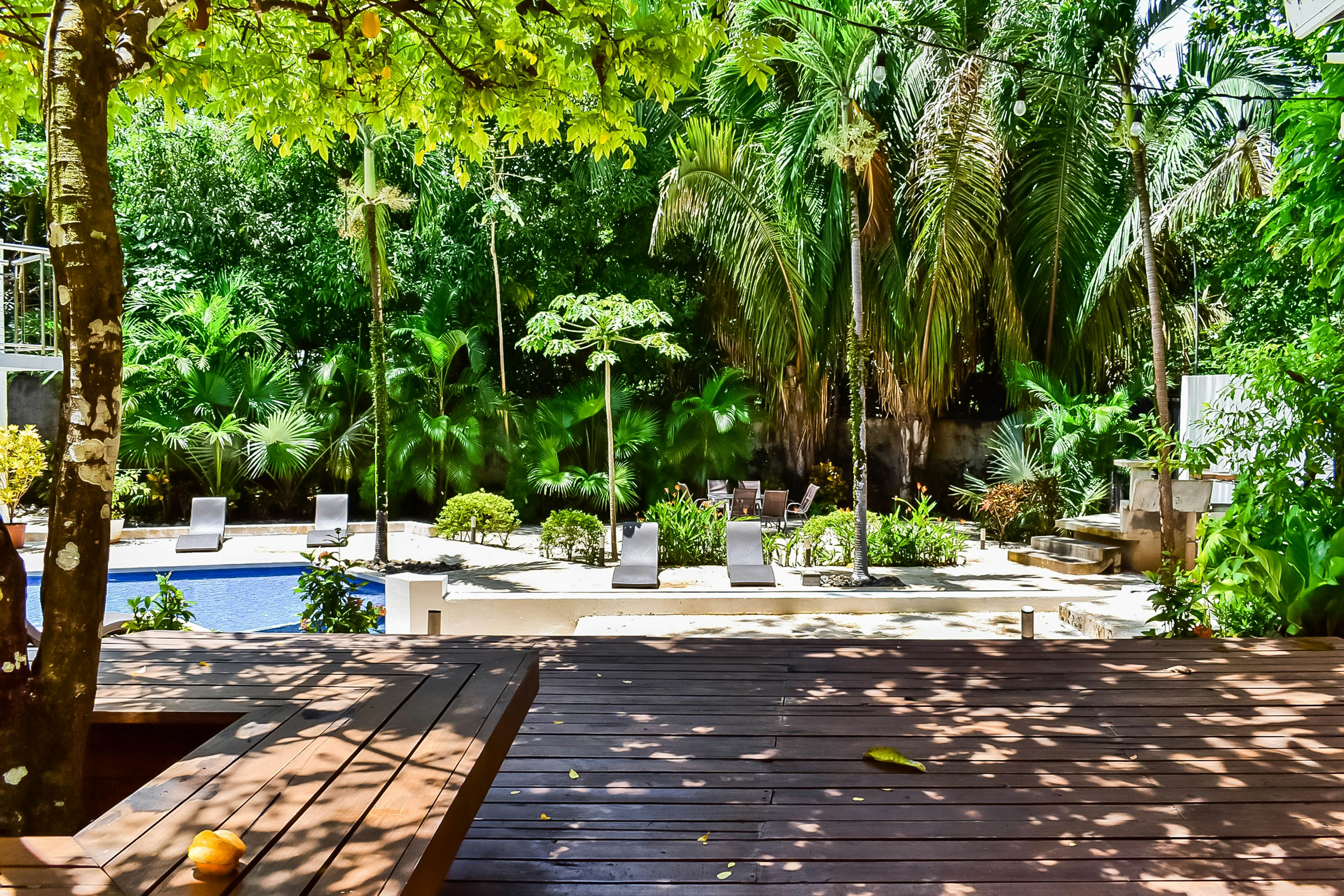 Casa Guarumo Carrillo 