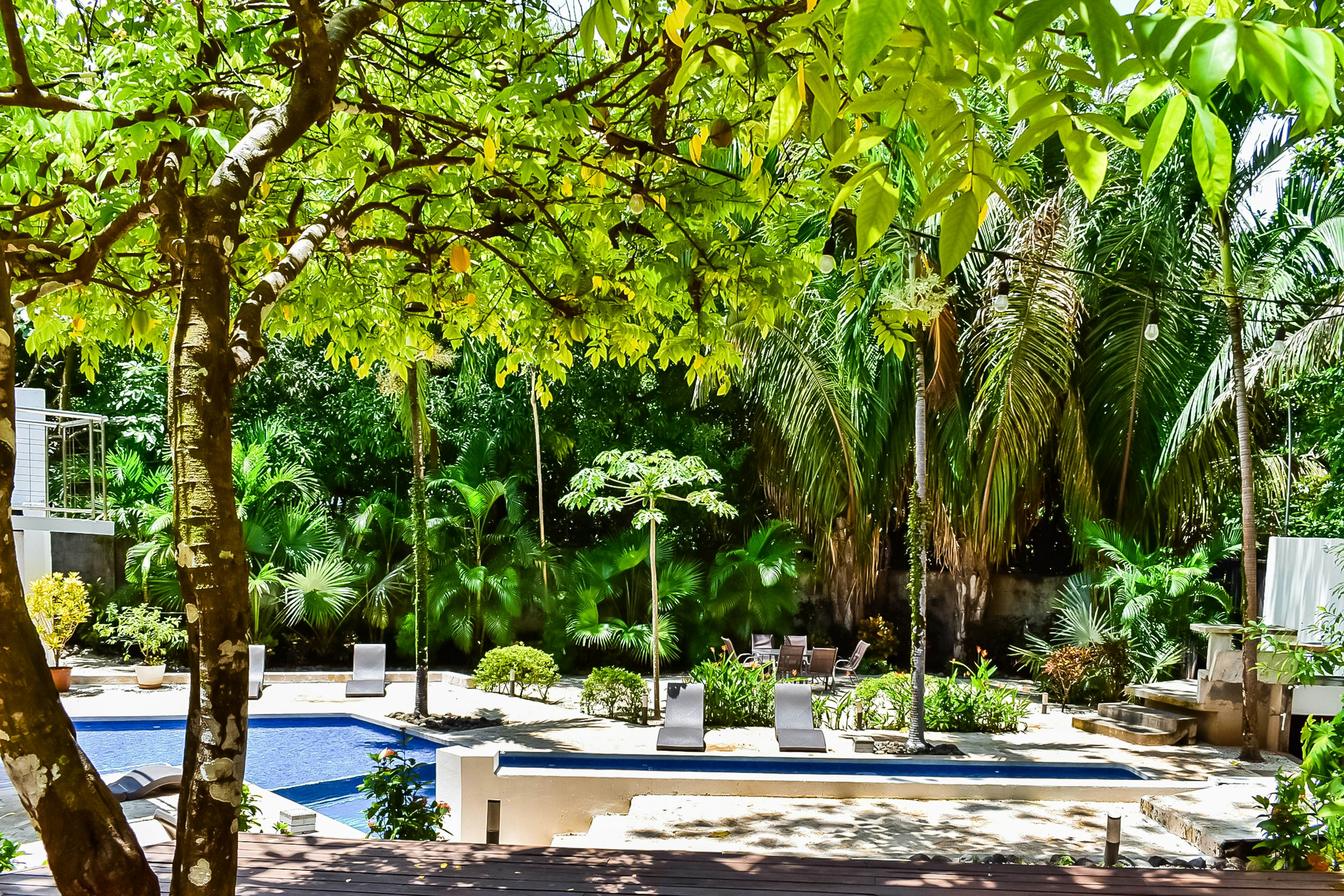 Casa Guarumo Carrillo 