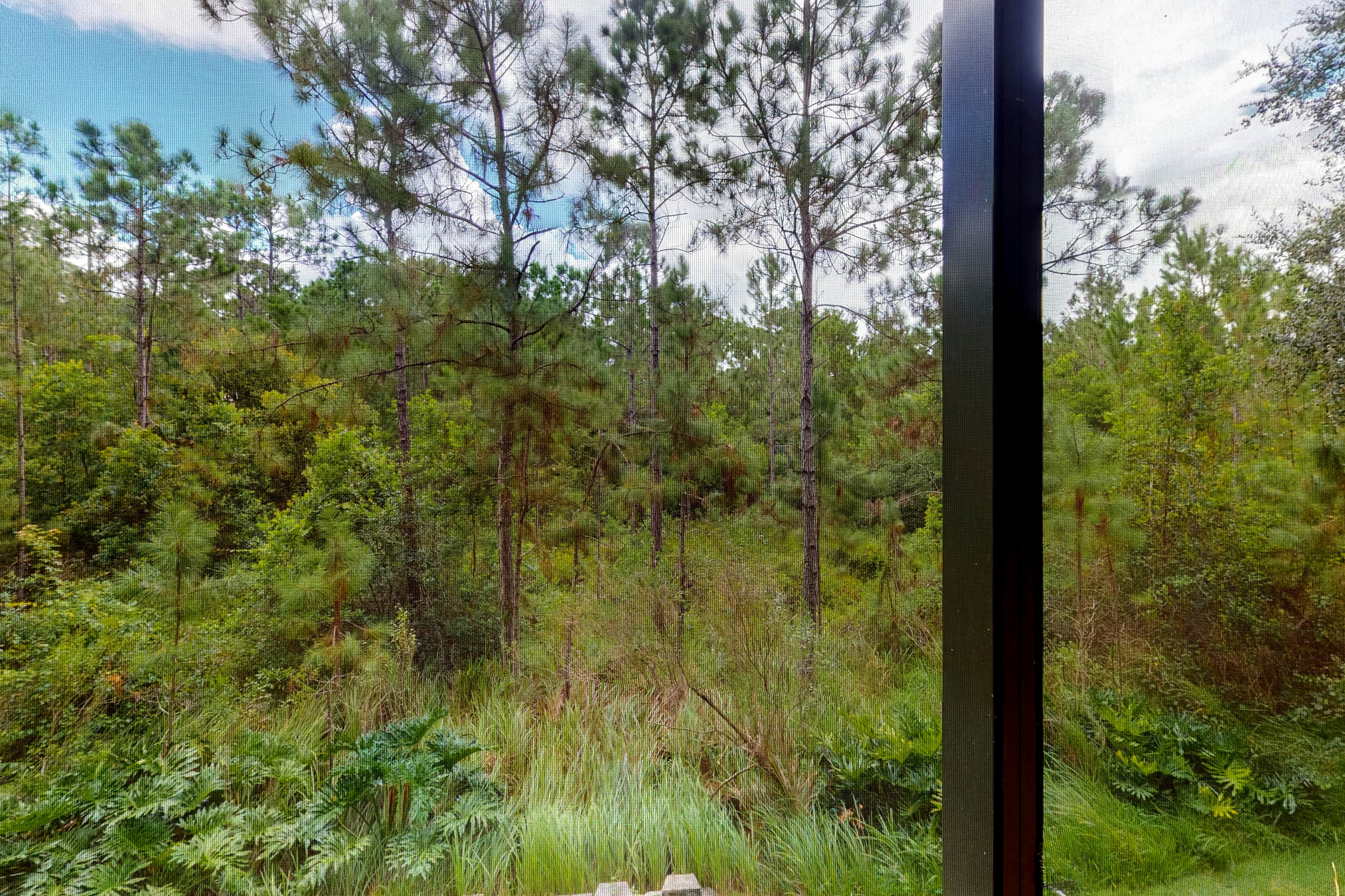 Caribe Cove Condominiums 10205