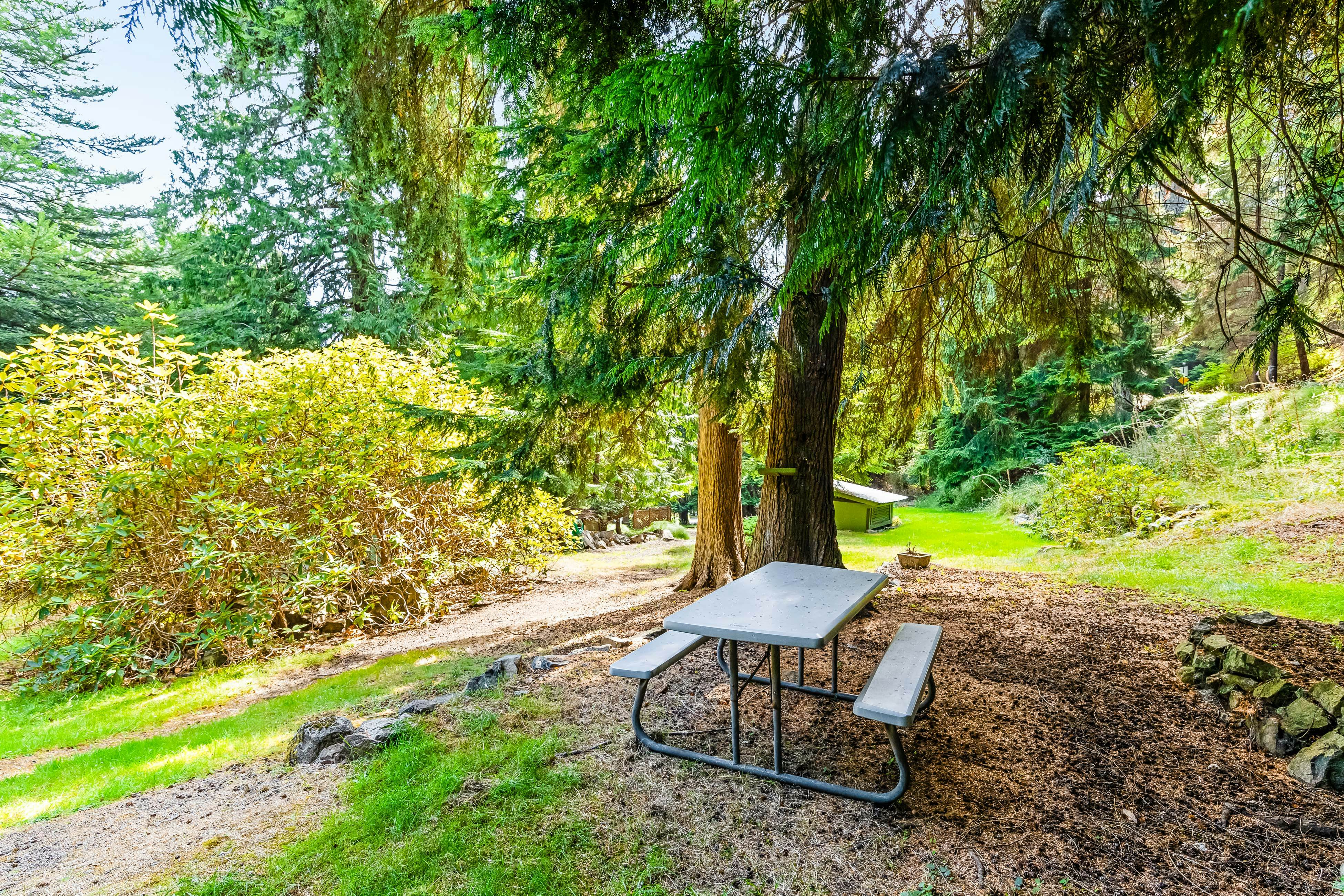 Tall Cedars Cabin By The Water